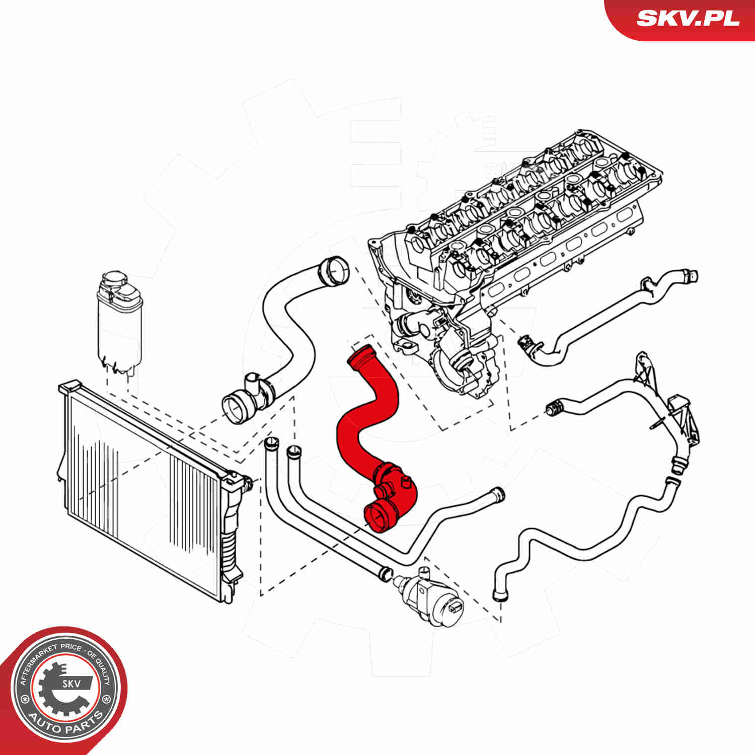 Radiator Hose - 24SKV202 ESEN SKV
