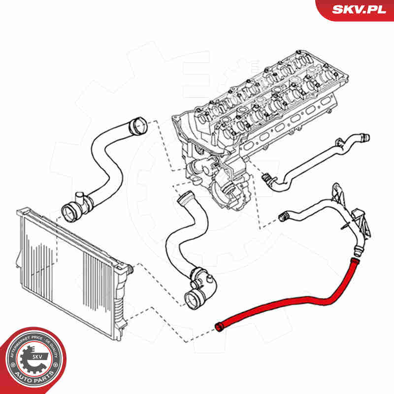 Radiator Hose - 24SKV203 ESEN SKV