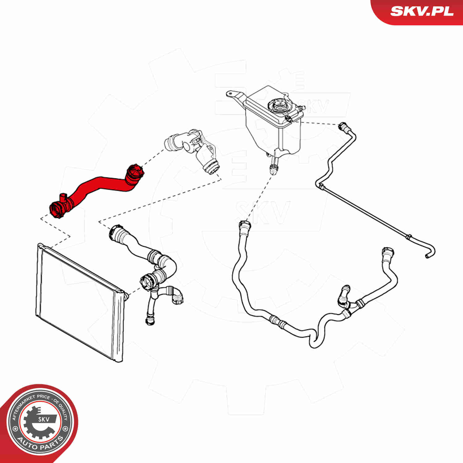 Radiator Hose - 24SKV247 ESEN SKV