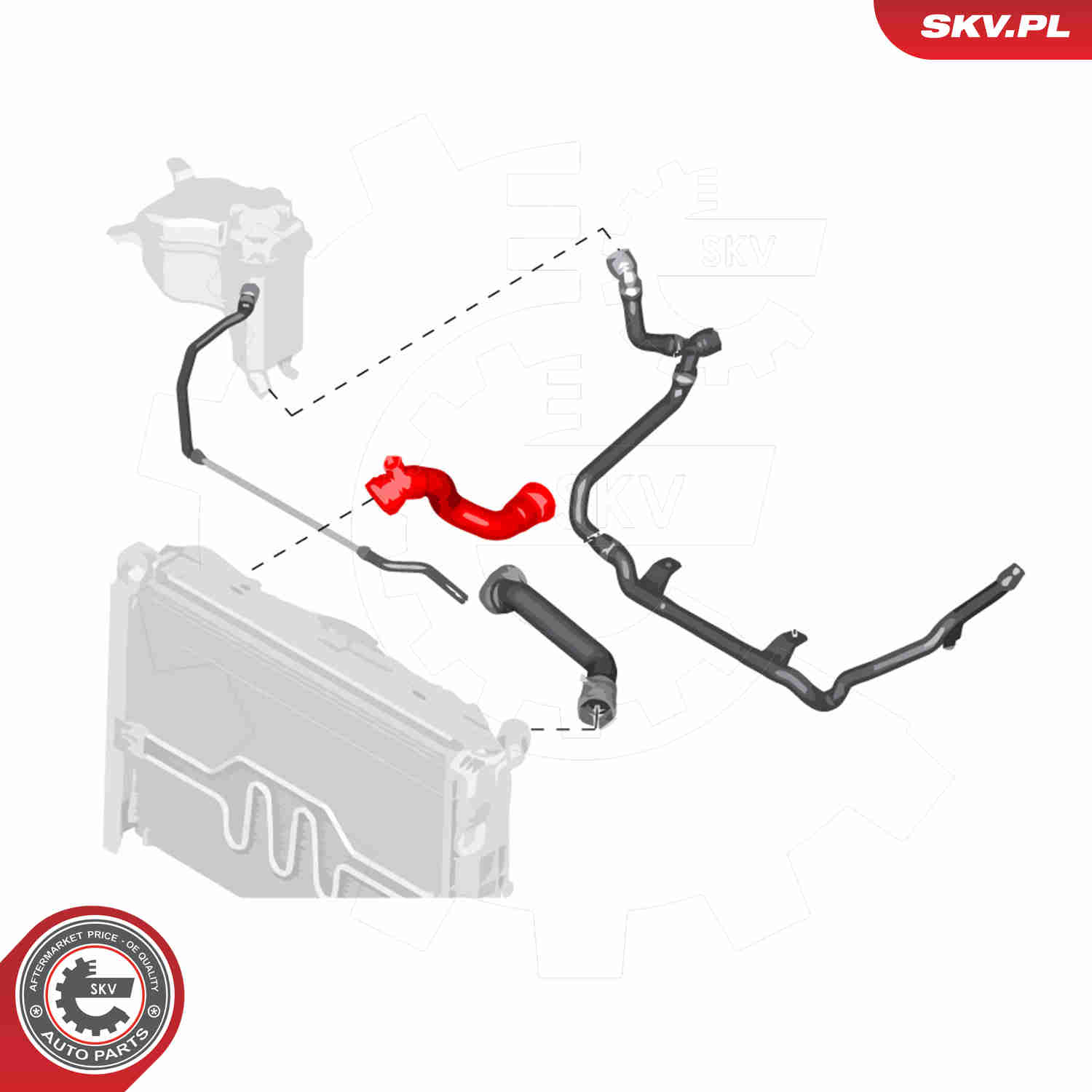 Radiator Hose - 24SKV248 ESEN SKV