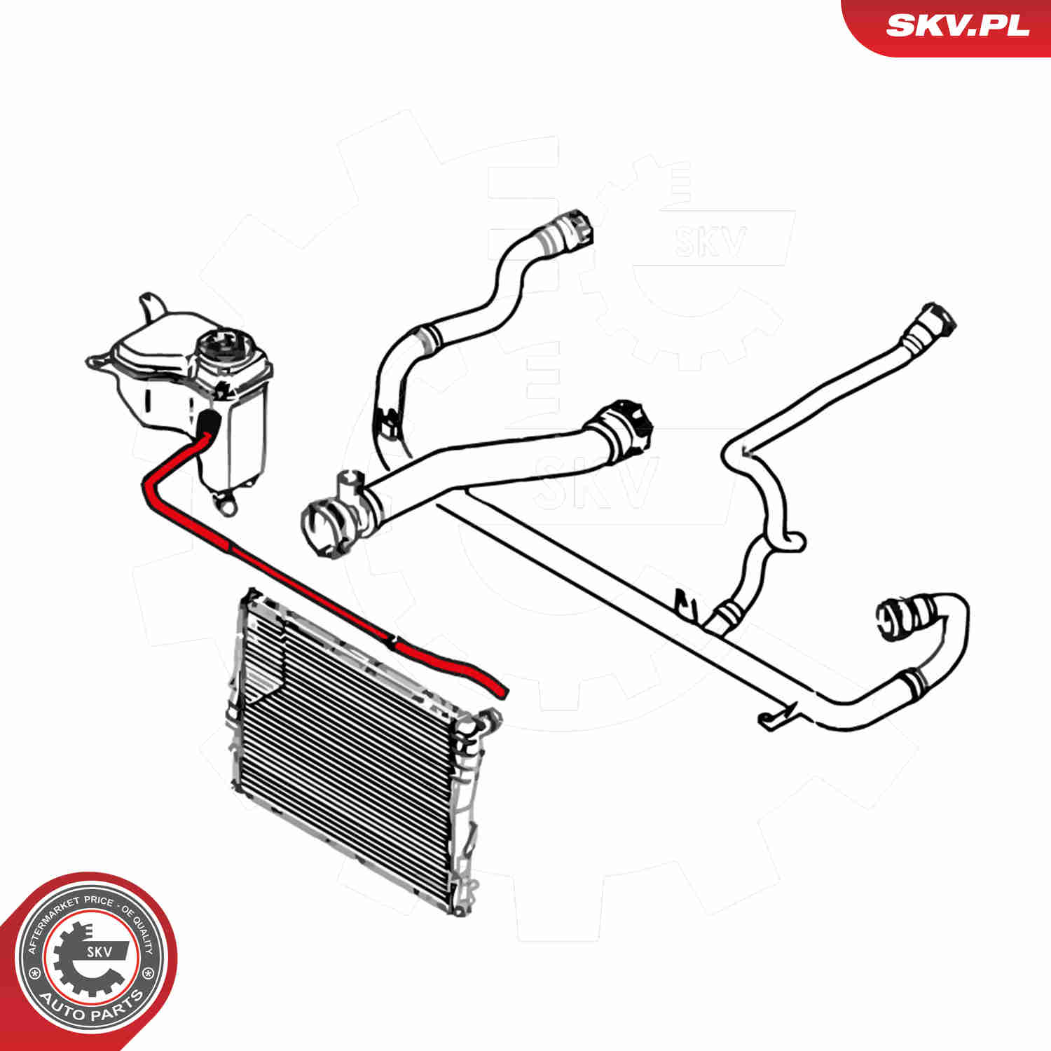 Radiator Hose - 24SKV249 ESEN SKV