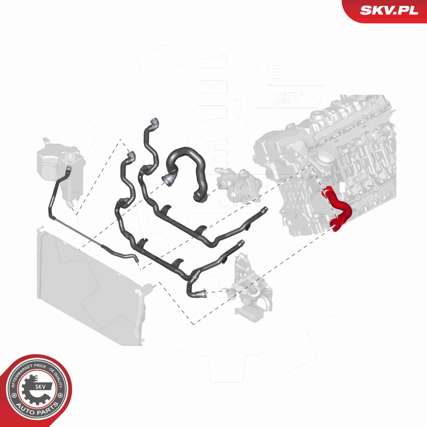 Radiator Hose - 24SKV279 ESEN SKV