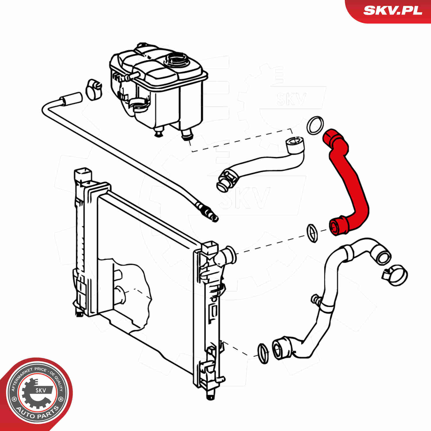 Radiator Hose - 24SKV291 ESEN SKV