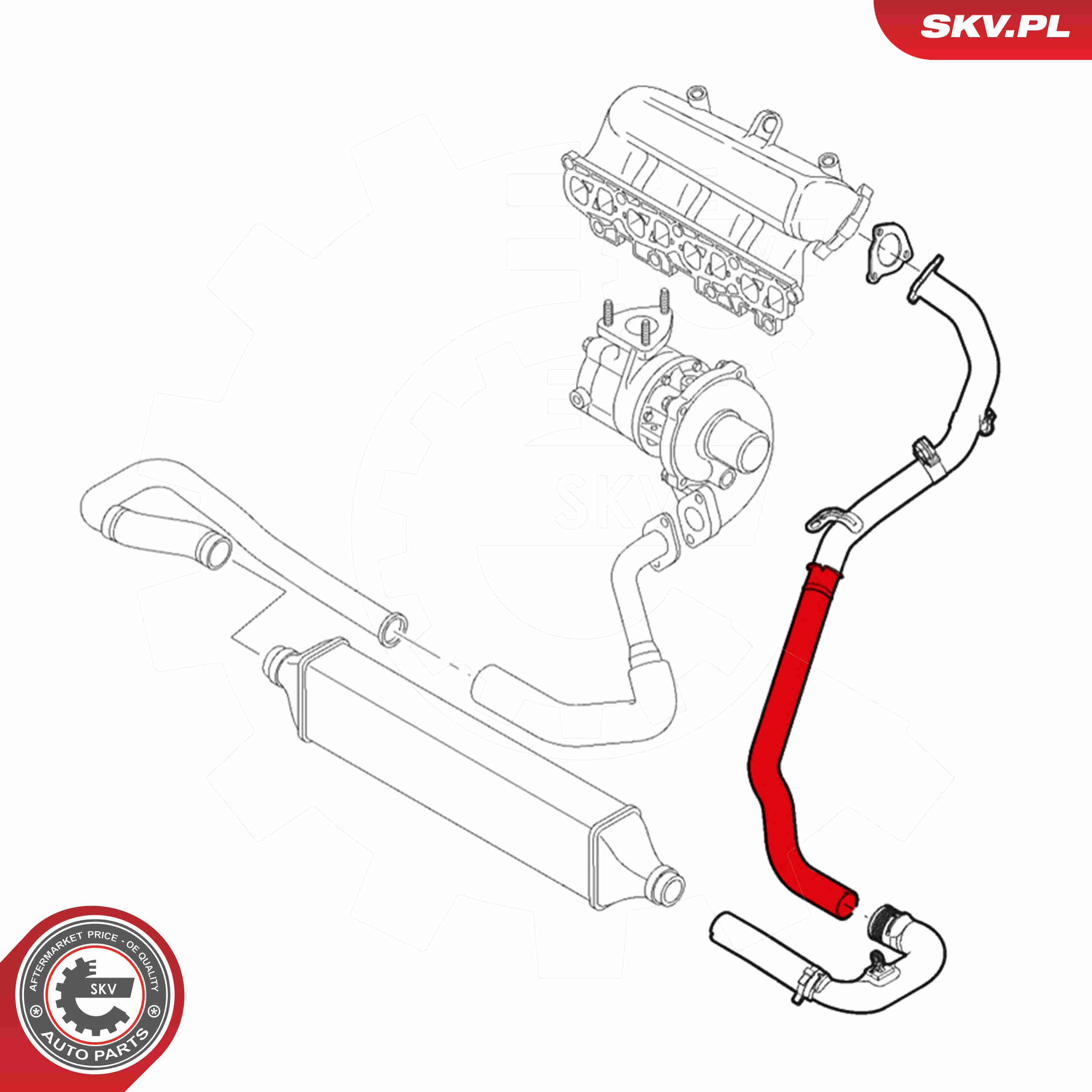 Charger Air Hose - 24SKV559 ESEN SKV