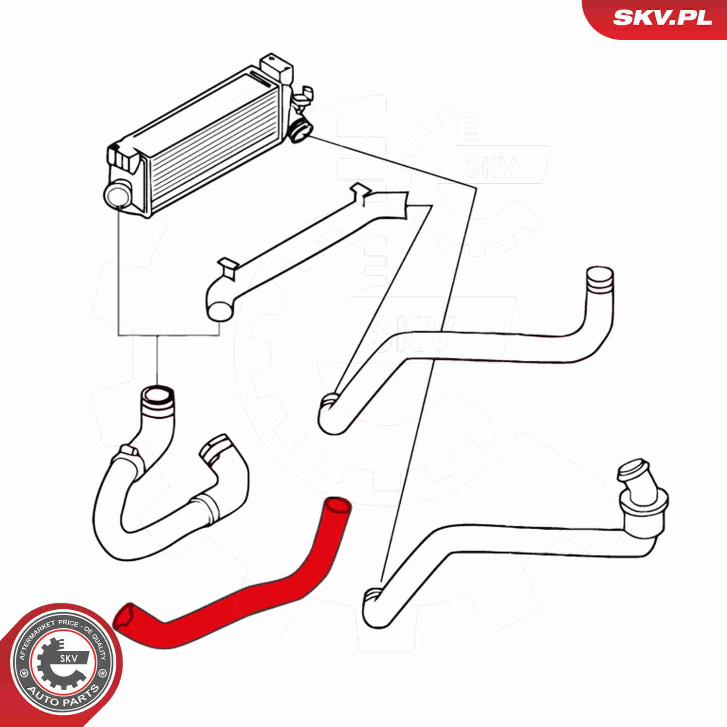 Charger Air Hose - 24SKV725 ESEN SKV