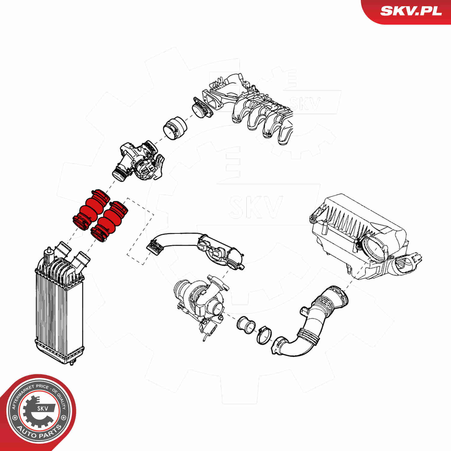 Charger Air Hose - 24SKV789 ESEN SKV