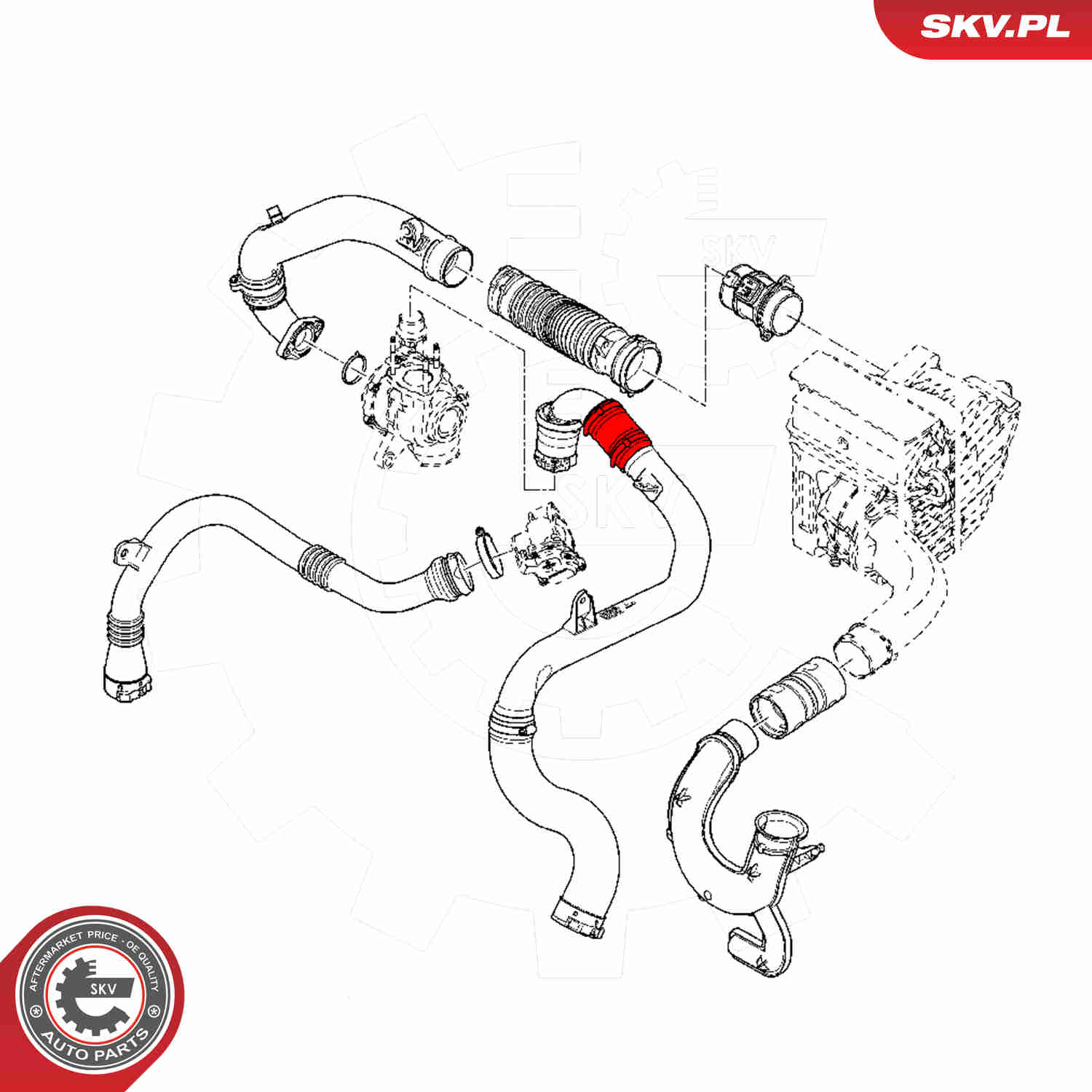 Charger Air Hose - 24SKV811 ESEN SKV
