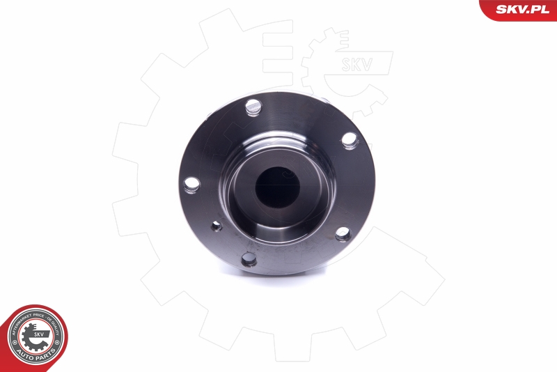 Wheel Bearing Kit - 29SKV228 ESEN SKV