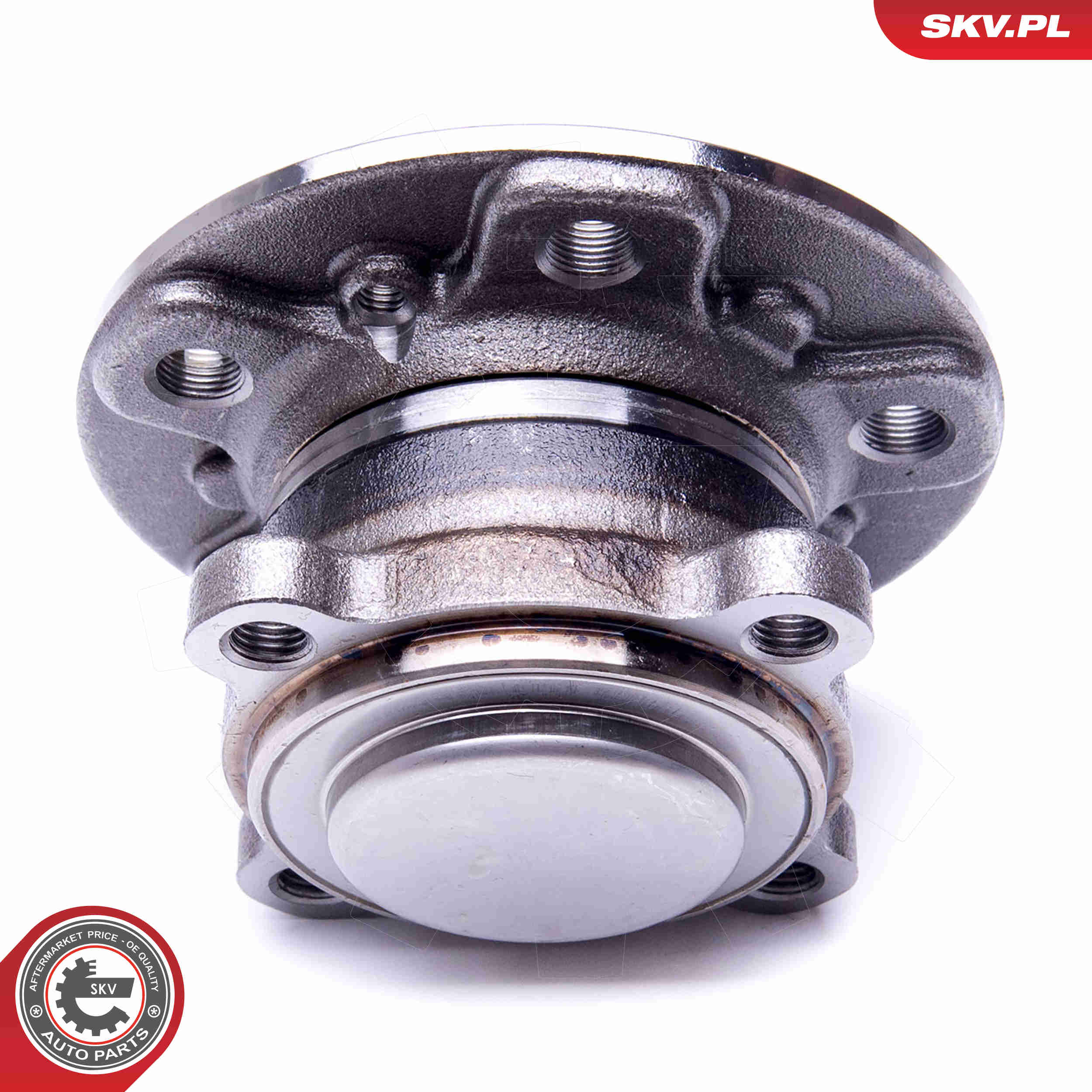Wheel Bearing Kit - 29SKV303 ESEN SKV