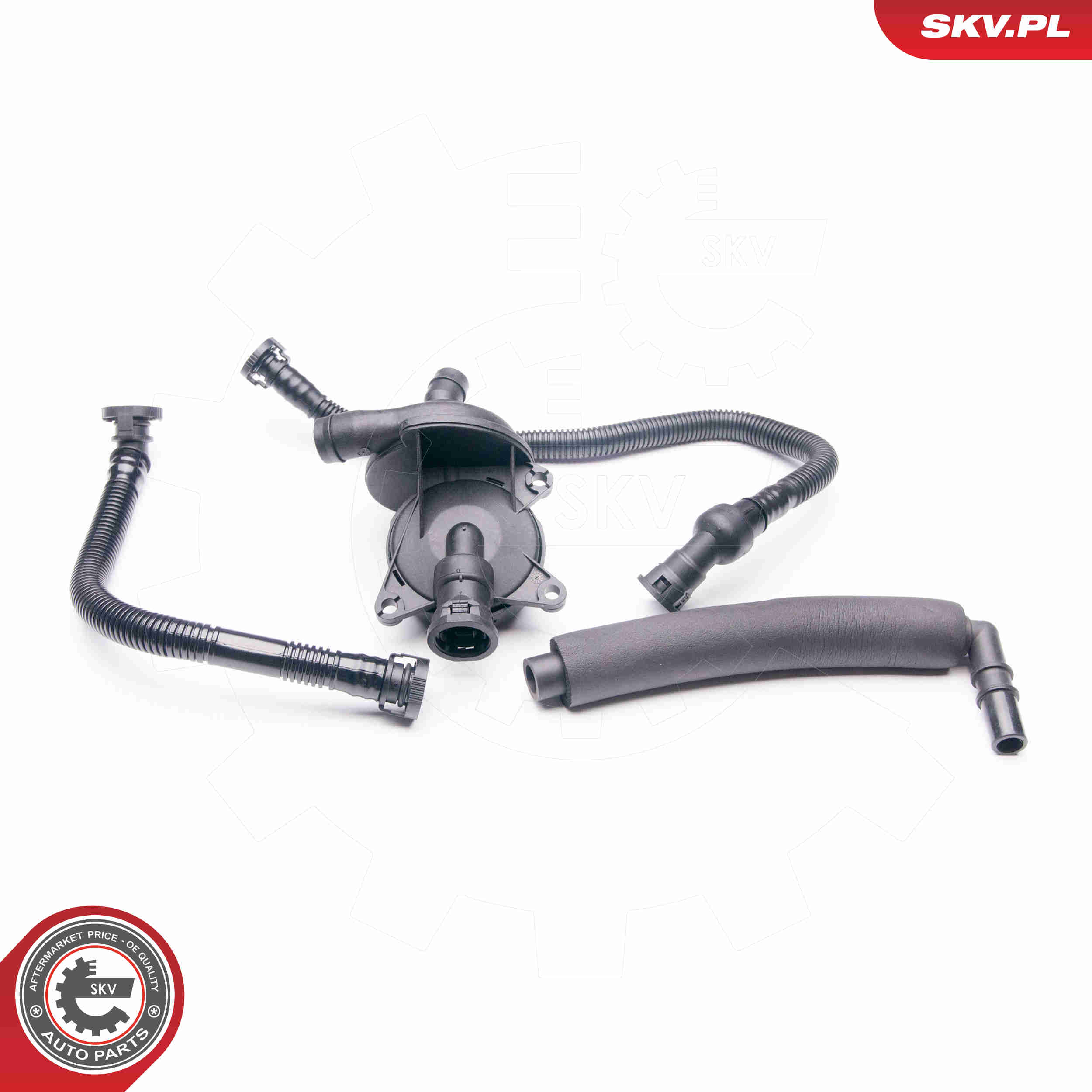 Repair Set, crankcase breather - 31SKV042 ESEN SKV