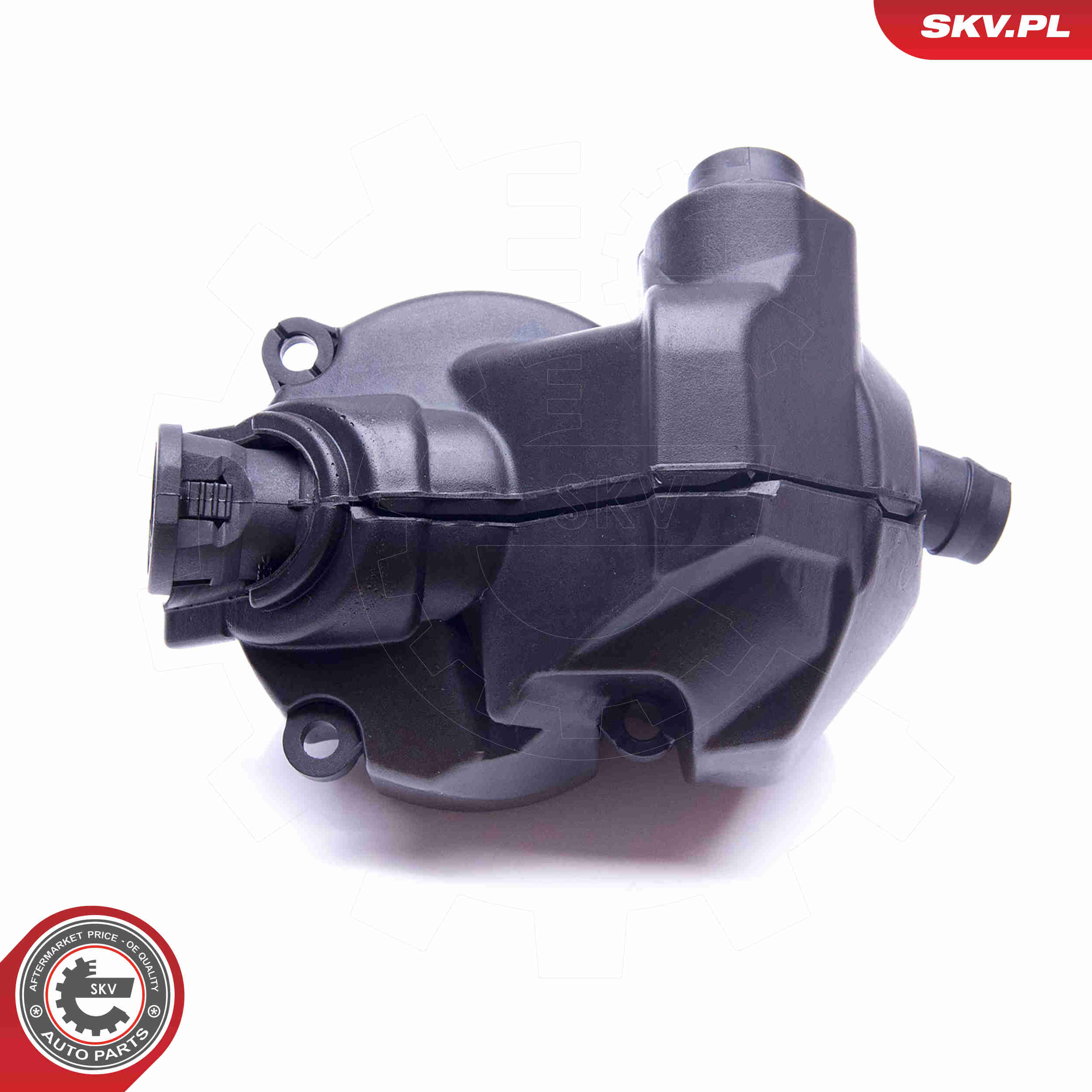 Oil Trap, crankcase breather - 31SKV077 ESEN SKV