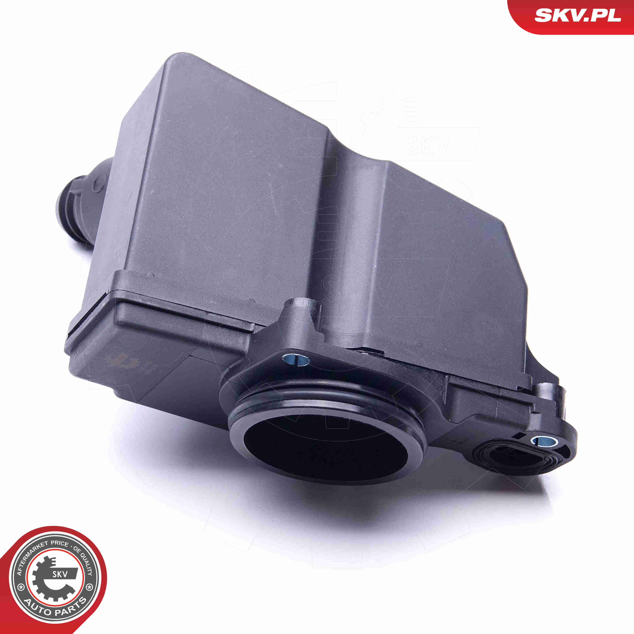 Repair Set, crankcase breather - 31SKV098 ESEN SKV