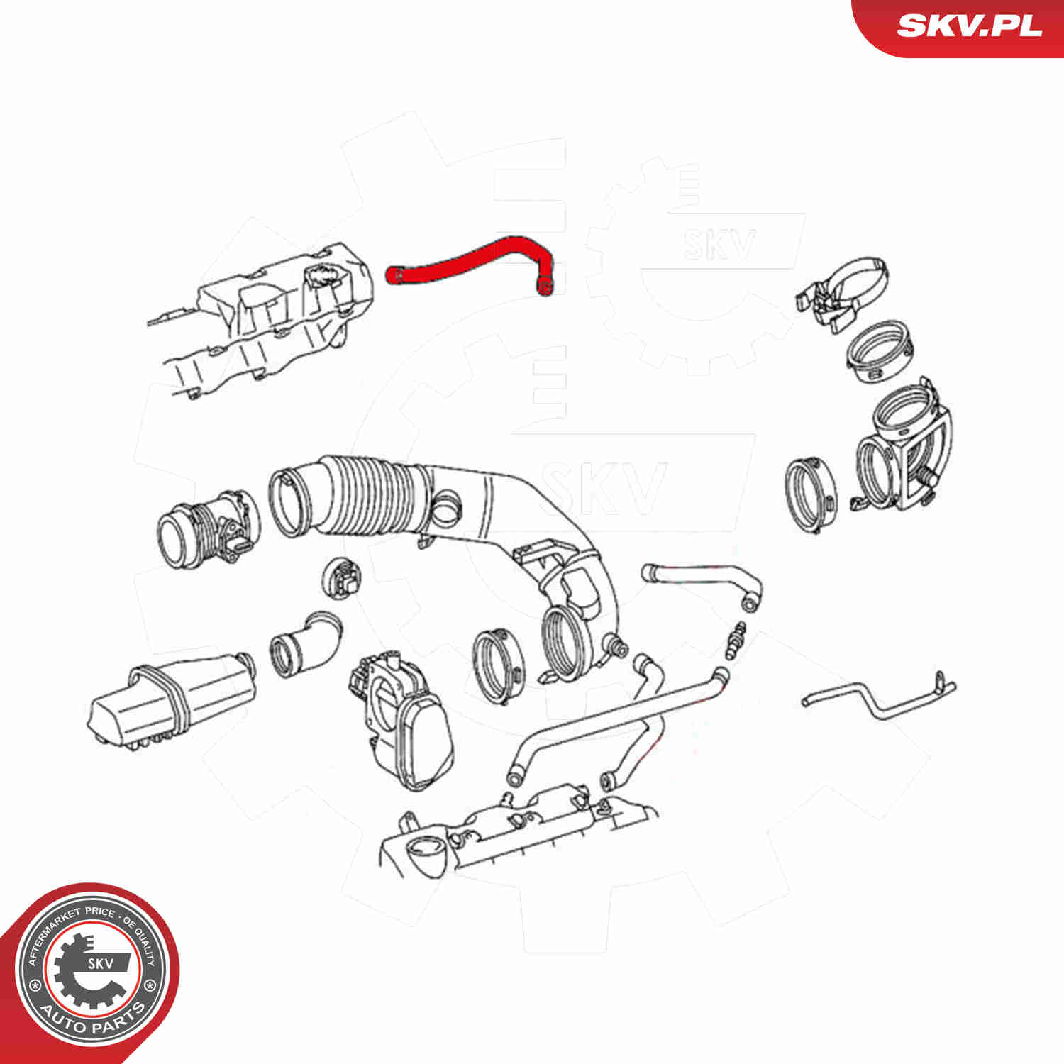 Hose, crankcase breather - 31SKV117 ESEN SKV