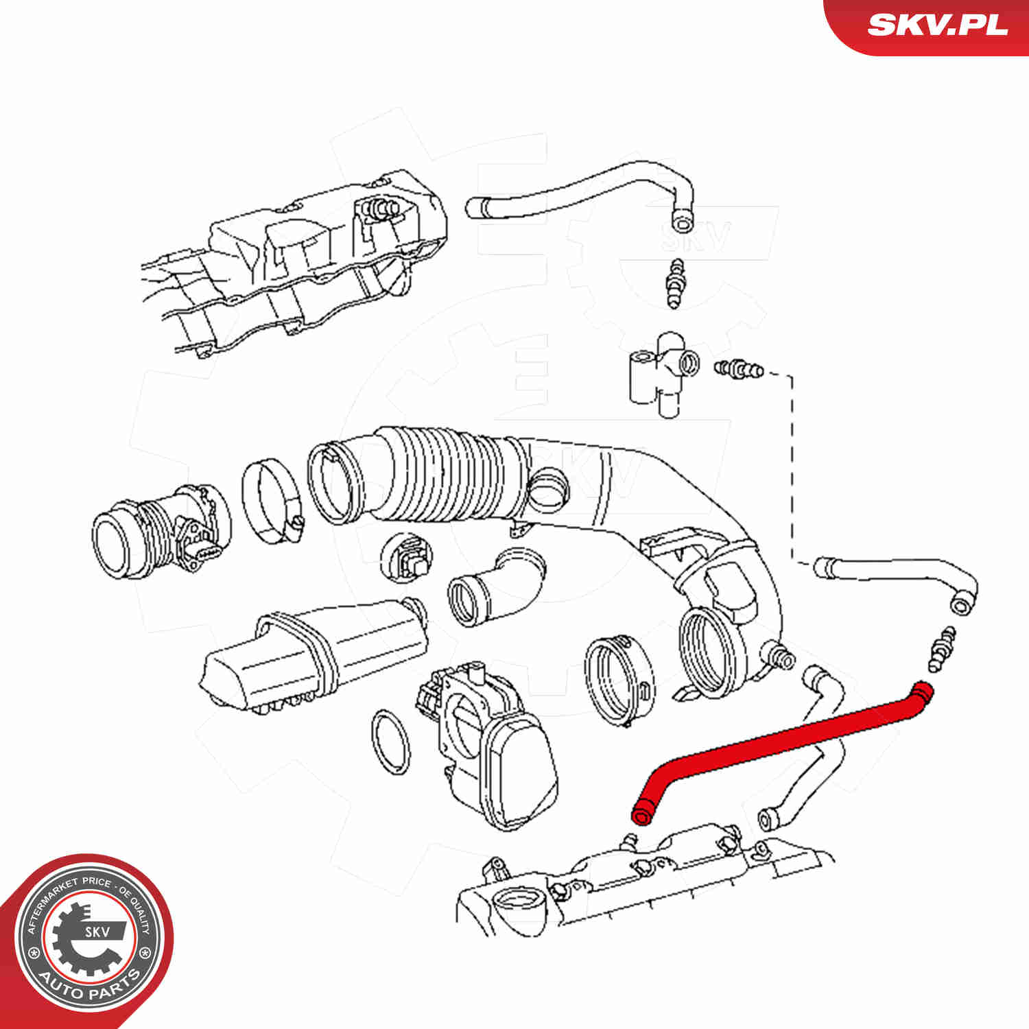 Hose, crankcase breather - 31SKV119 ESEN SKV