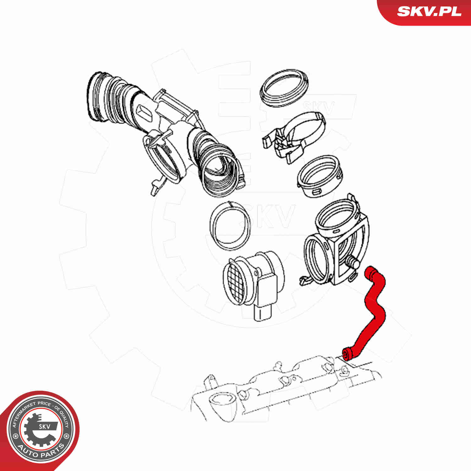 Hose, crankcase breather - 31SKV121 ESEN SKV