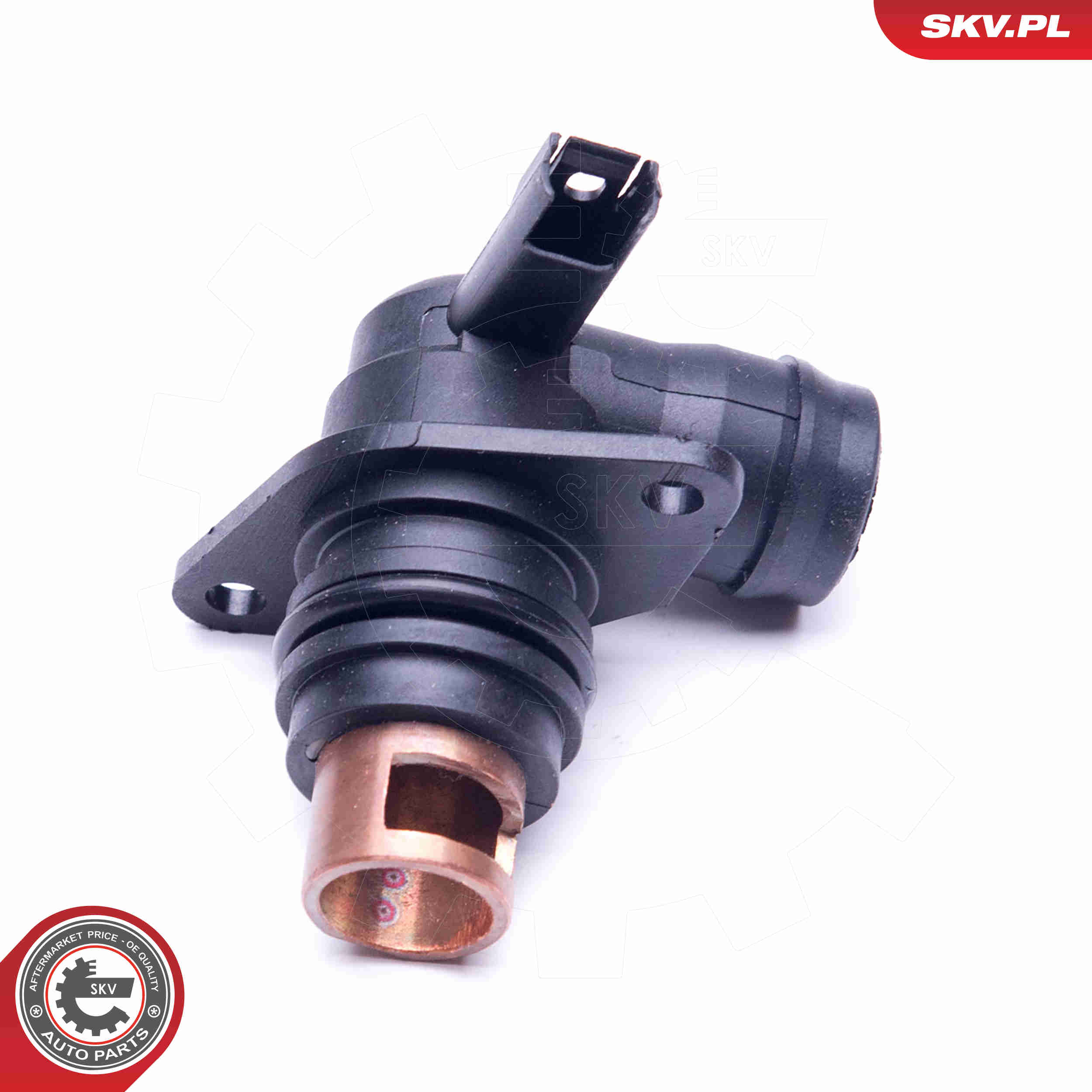 Fitting, intake manifold - 31SKV136 ESEN SKV