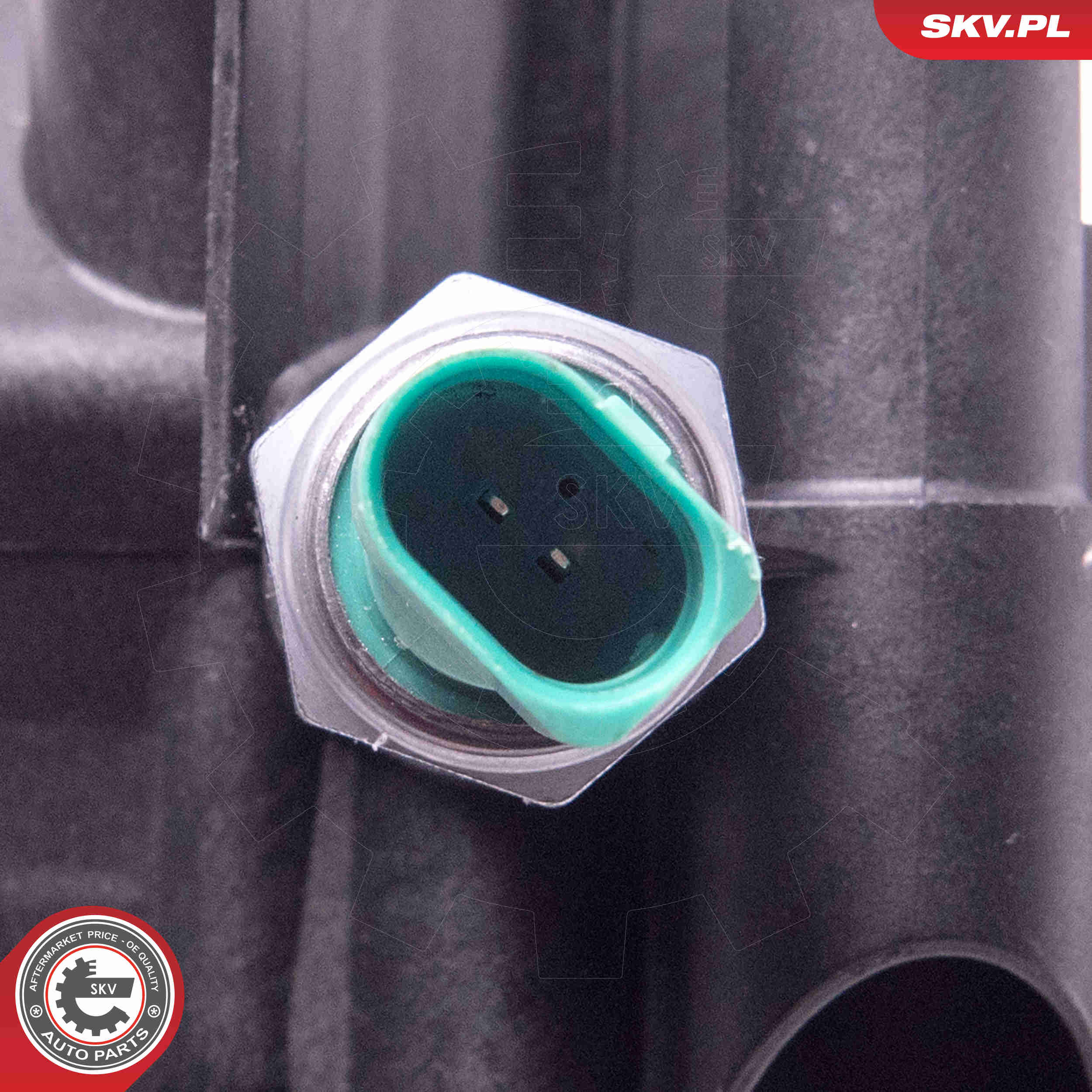 Oil Cooler, engine oil - 31SKV169 ESEN SKV