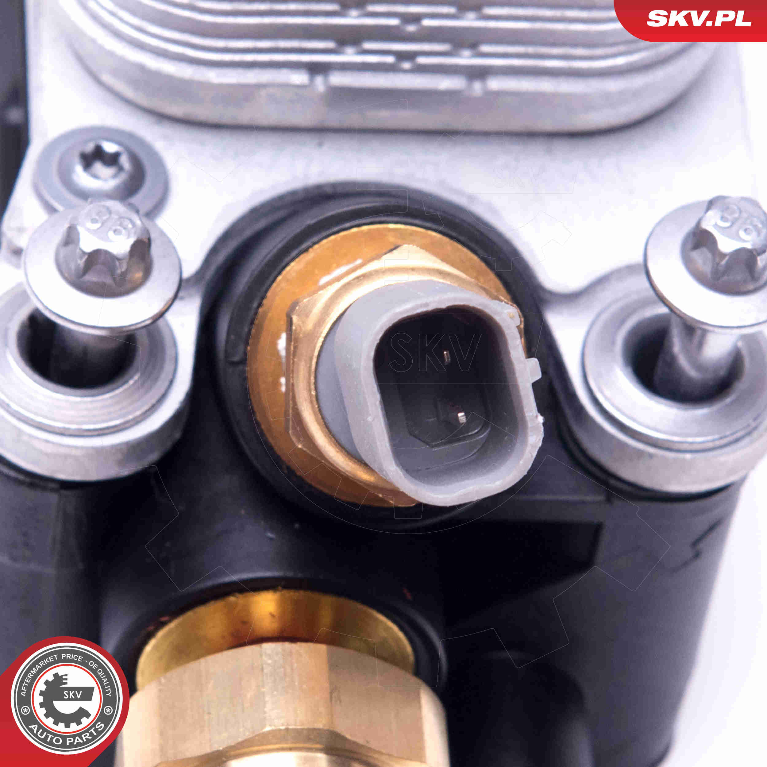 Radiatore olio, Olio motore - 31SKV172 ESEN SKV