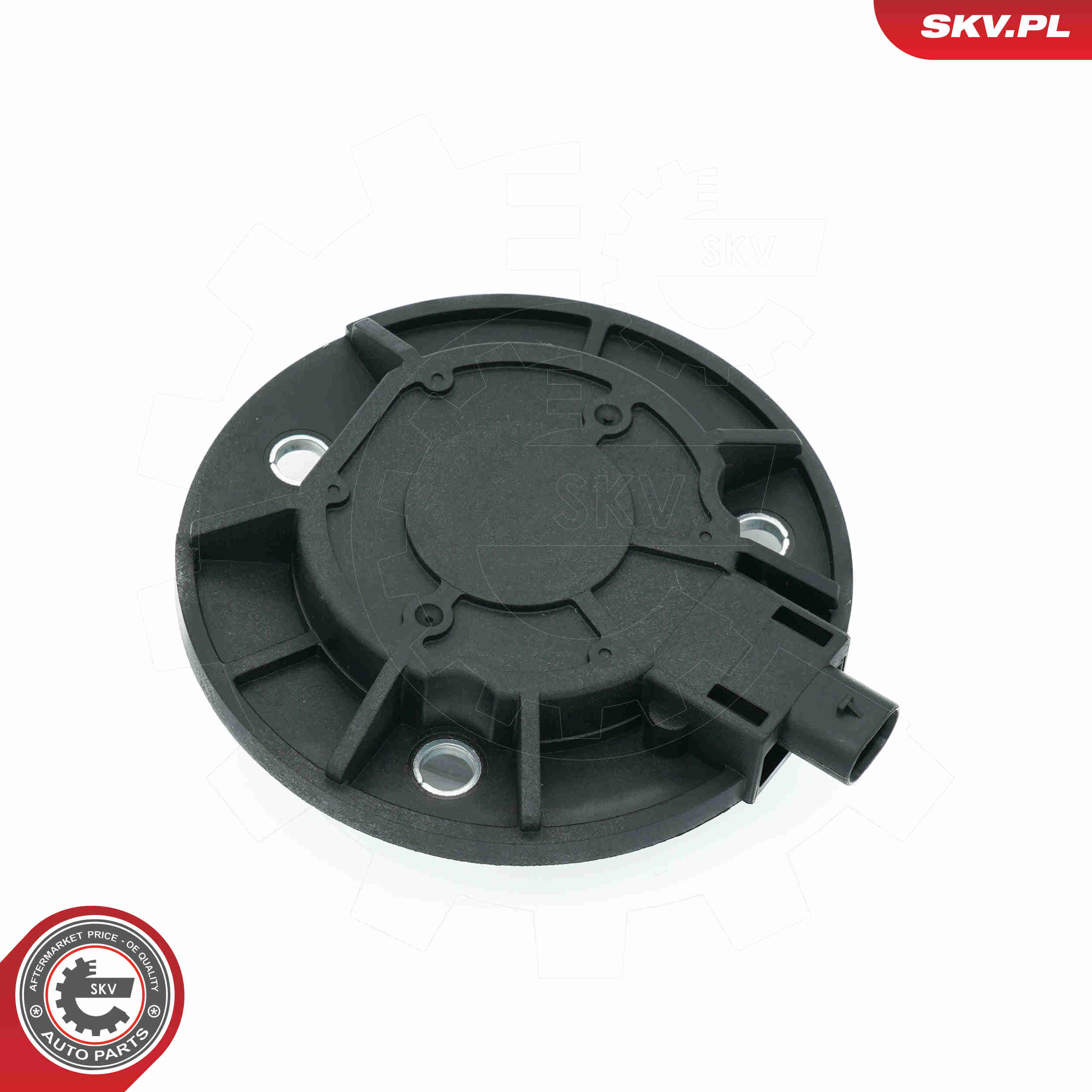 Central Magnet, camshaft adjustment - 39SKV900 ESEN SKV
