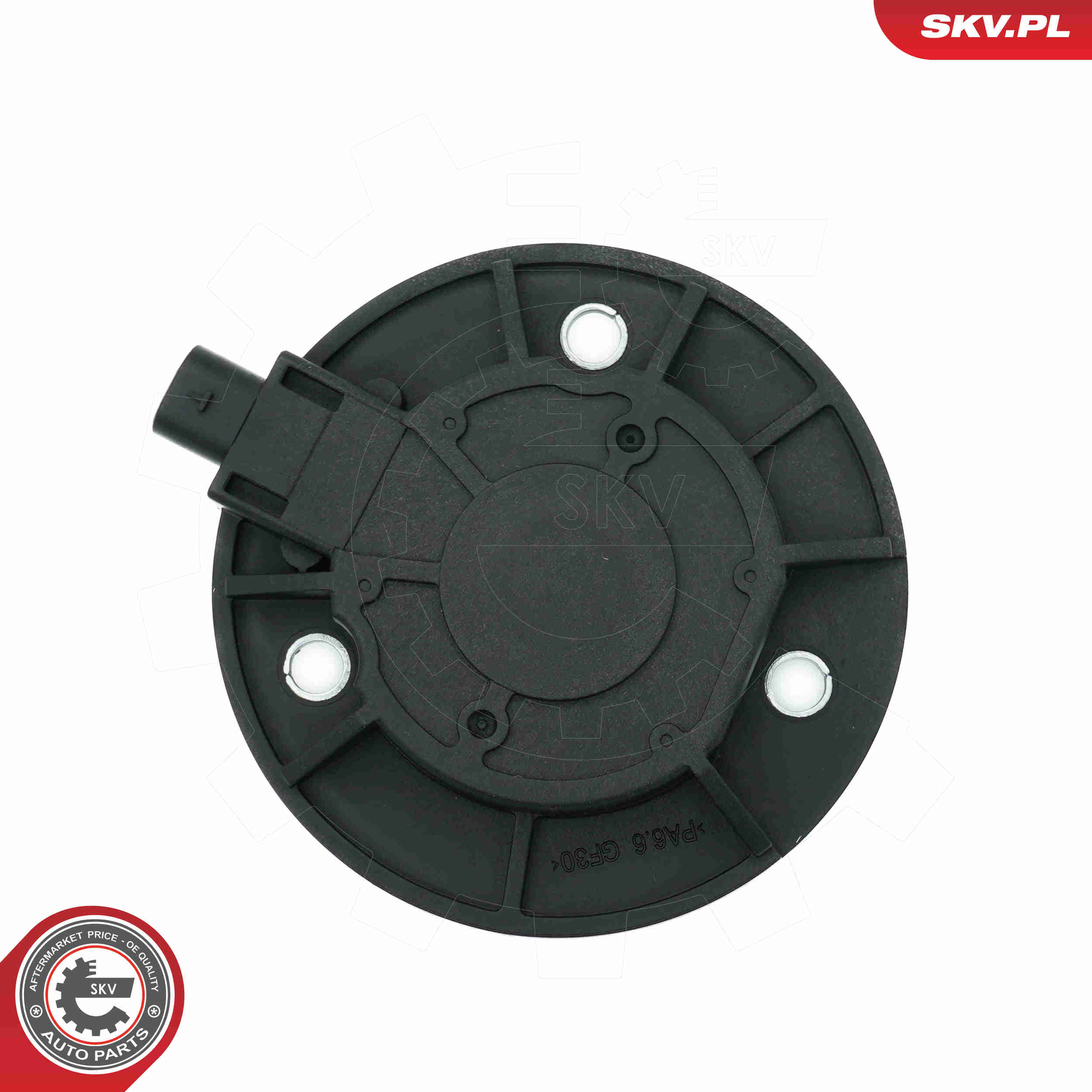 Central Magnet, camshaft adjustment - 39SKV900 ESEN SKV