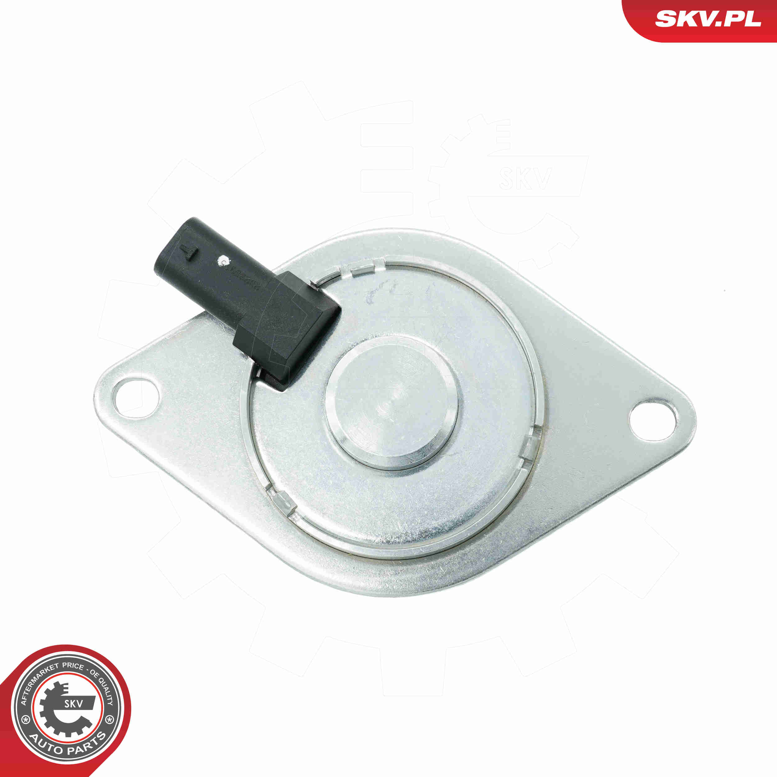 Central Magnet, camshaft adjustment - 39SKV902 ESEN SKV