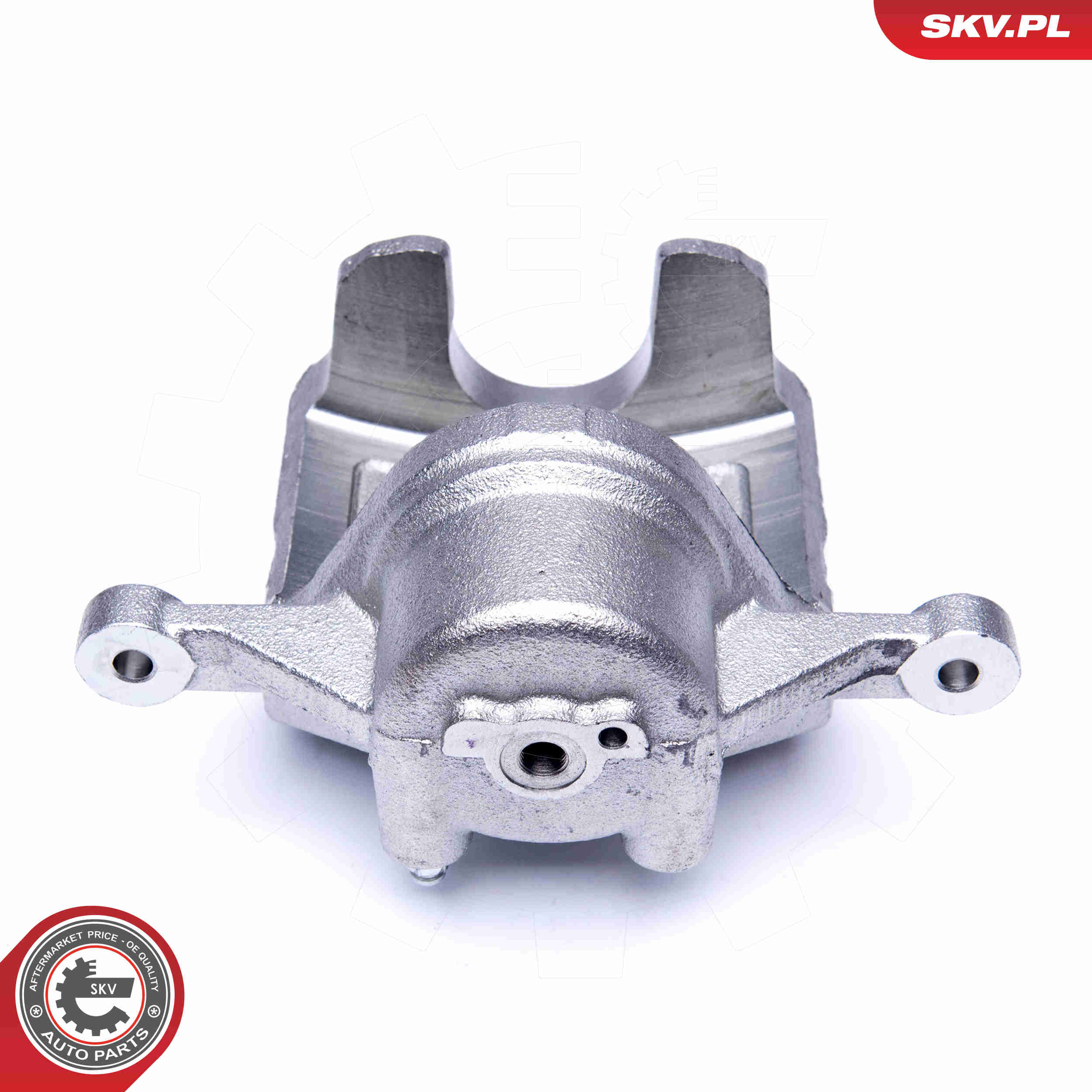 Brake Caliper - 42SKV481 ESEN SKV