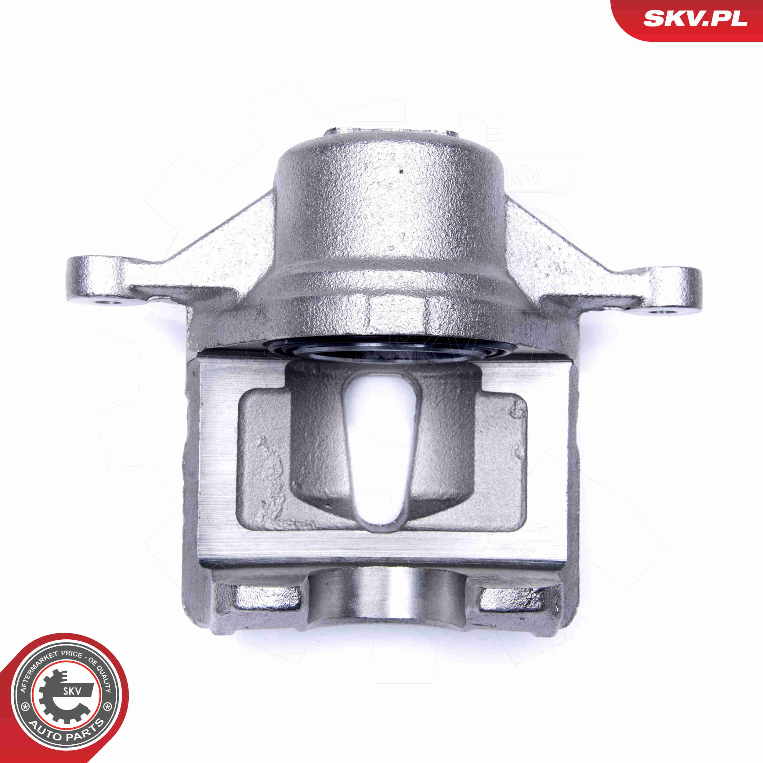 Brake Caliper - 42SKV481 ESEN SKV