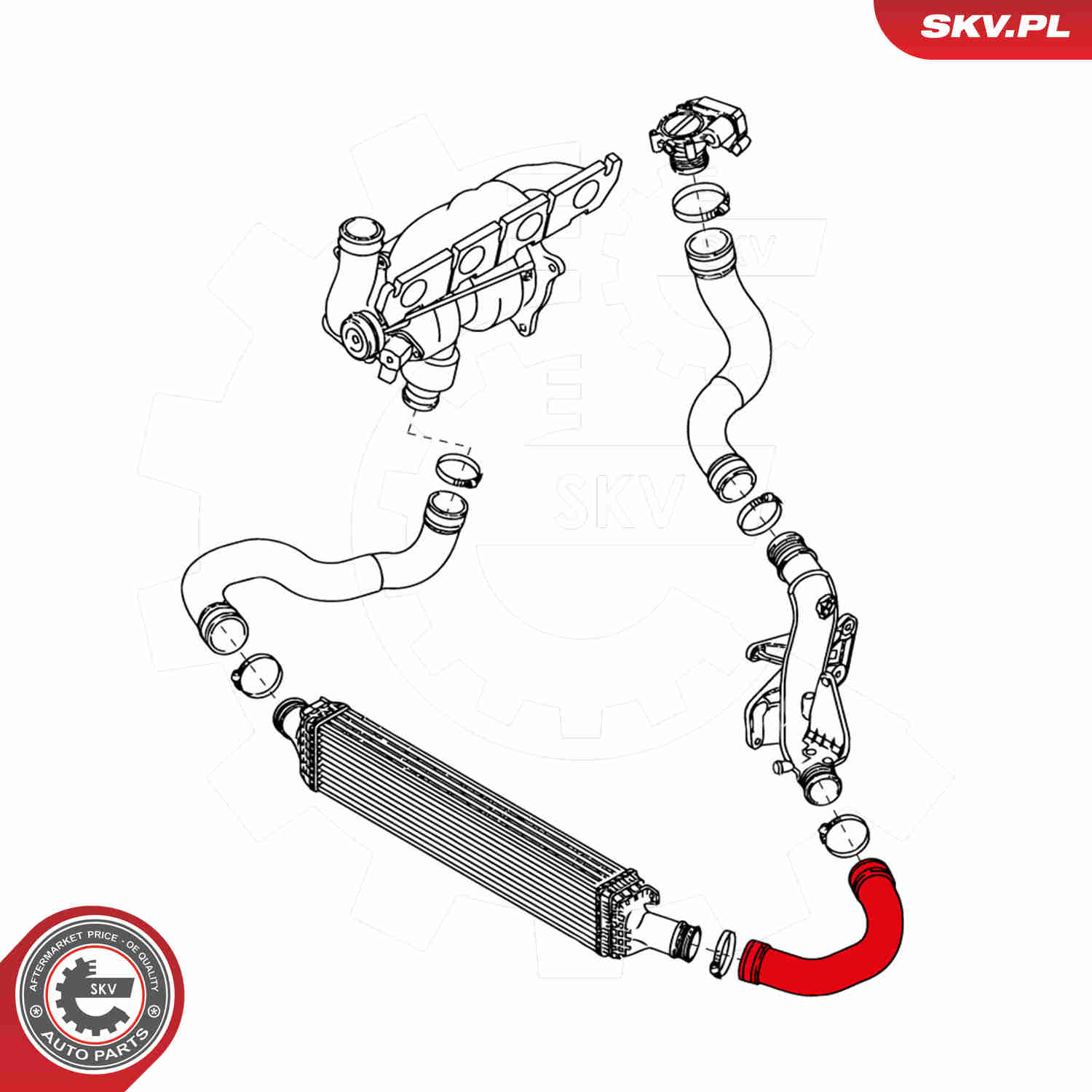 Charger Air Hose - 43SKV113 ESEN SKV