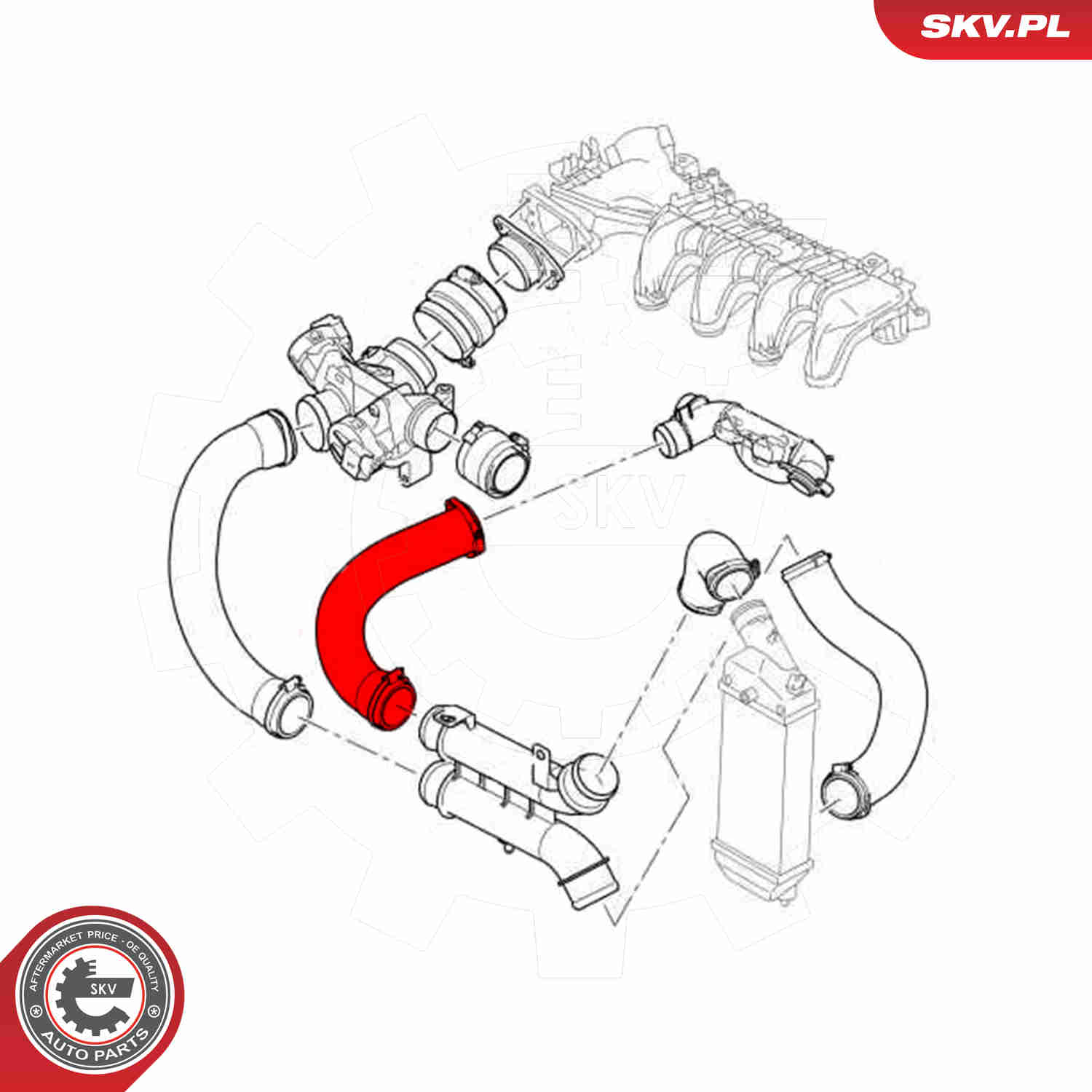 Charger Air Hose - 43SKV251 ESEN SKV