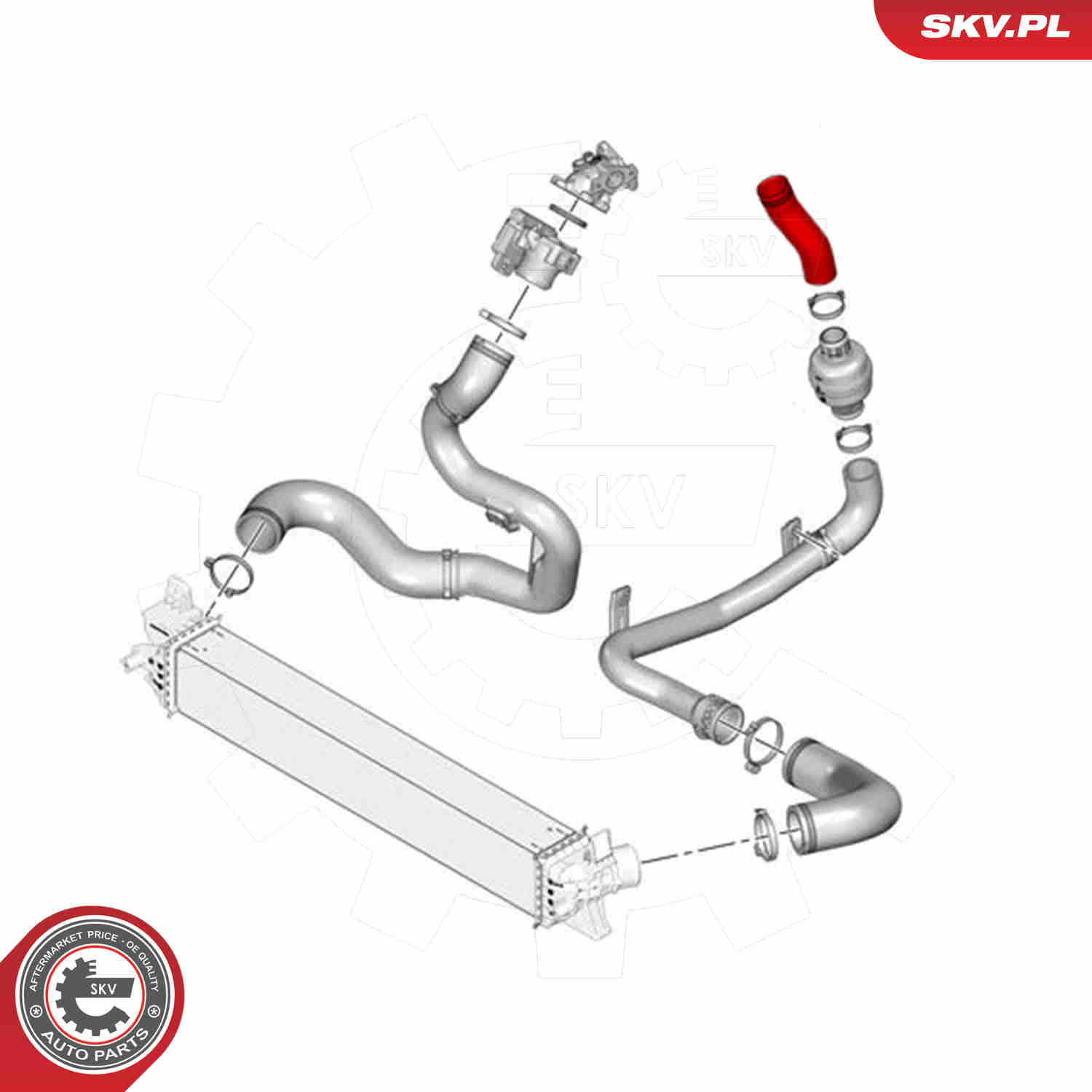 Charger Air Hose - 43SKV278 ESEN SKV