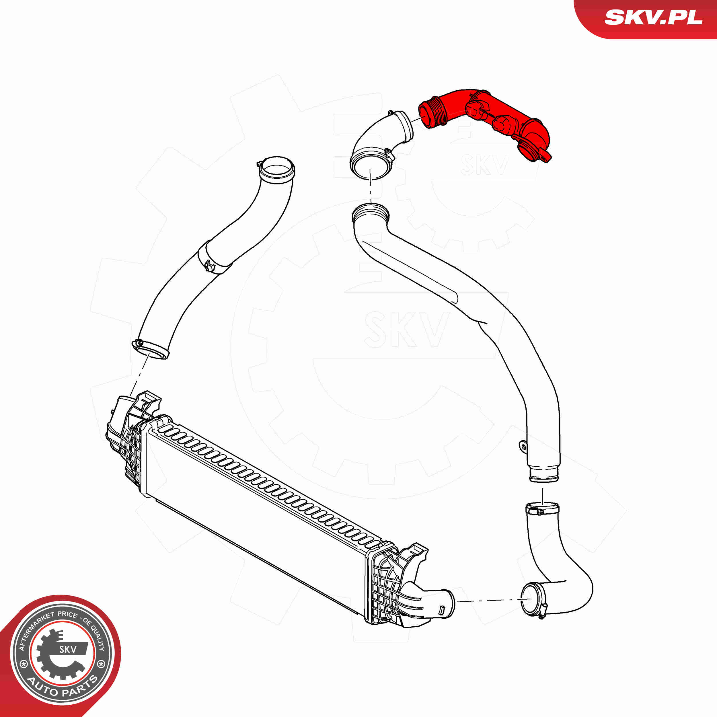Charger Air Hose - 43SKV309 ESEN SKV