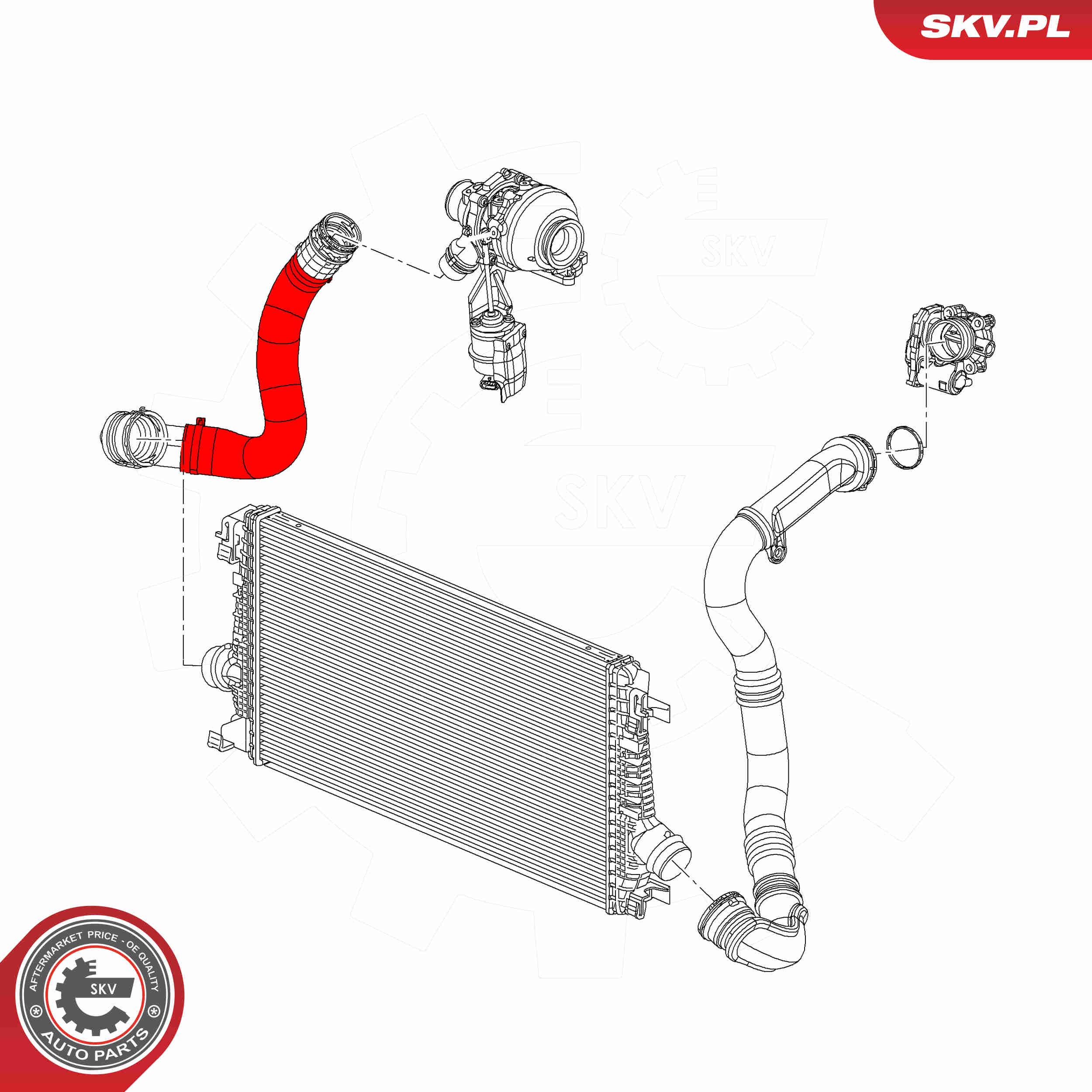 Charger Air Hose - 43SKV373 ESEN SKV