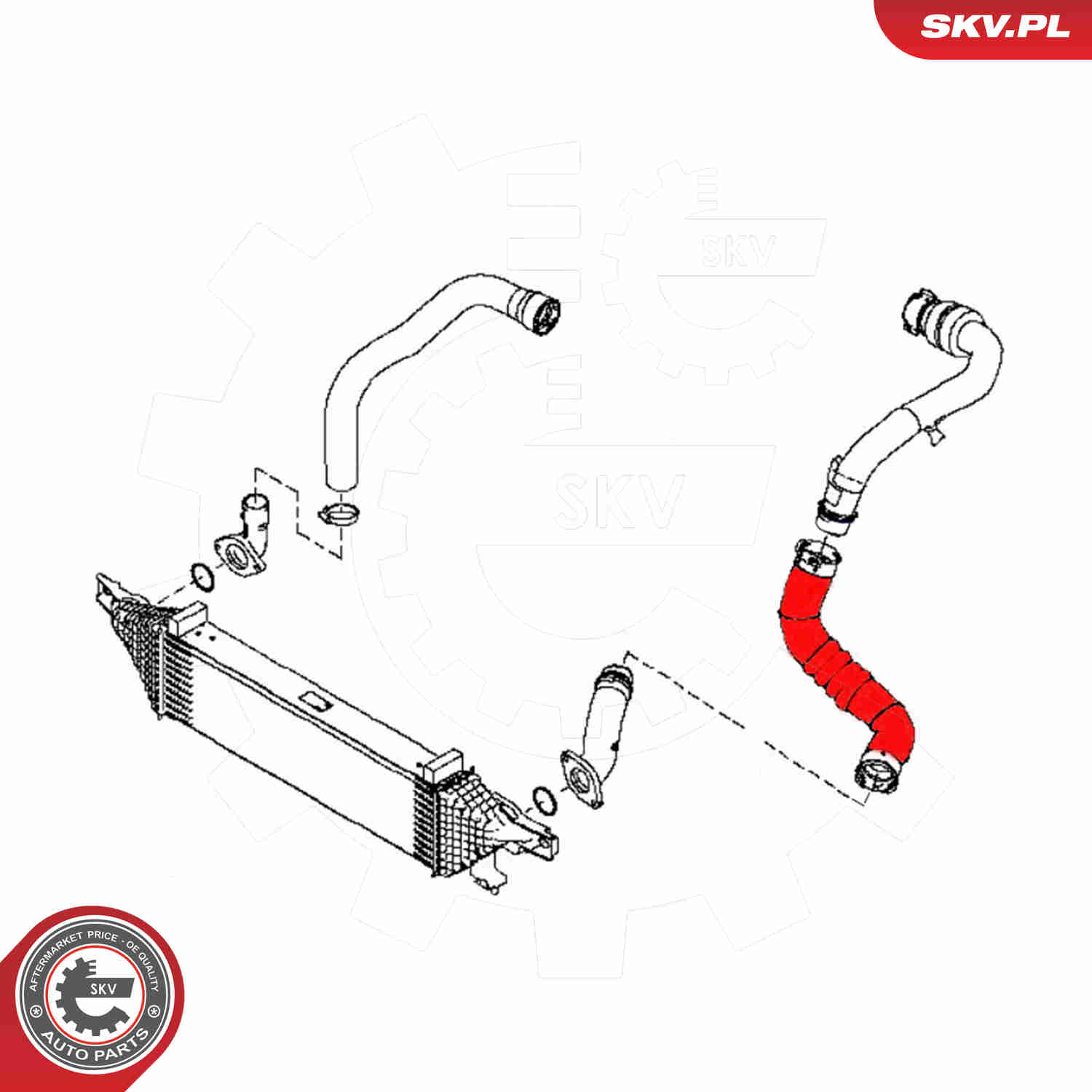 Charger Air Hose - 43SKV374 ESEN SKV