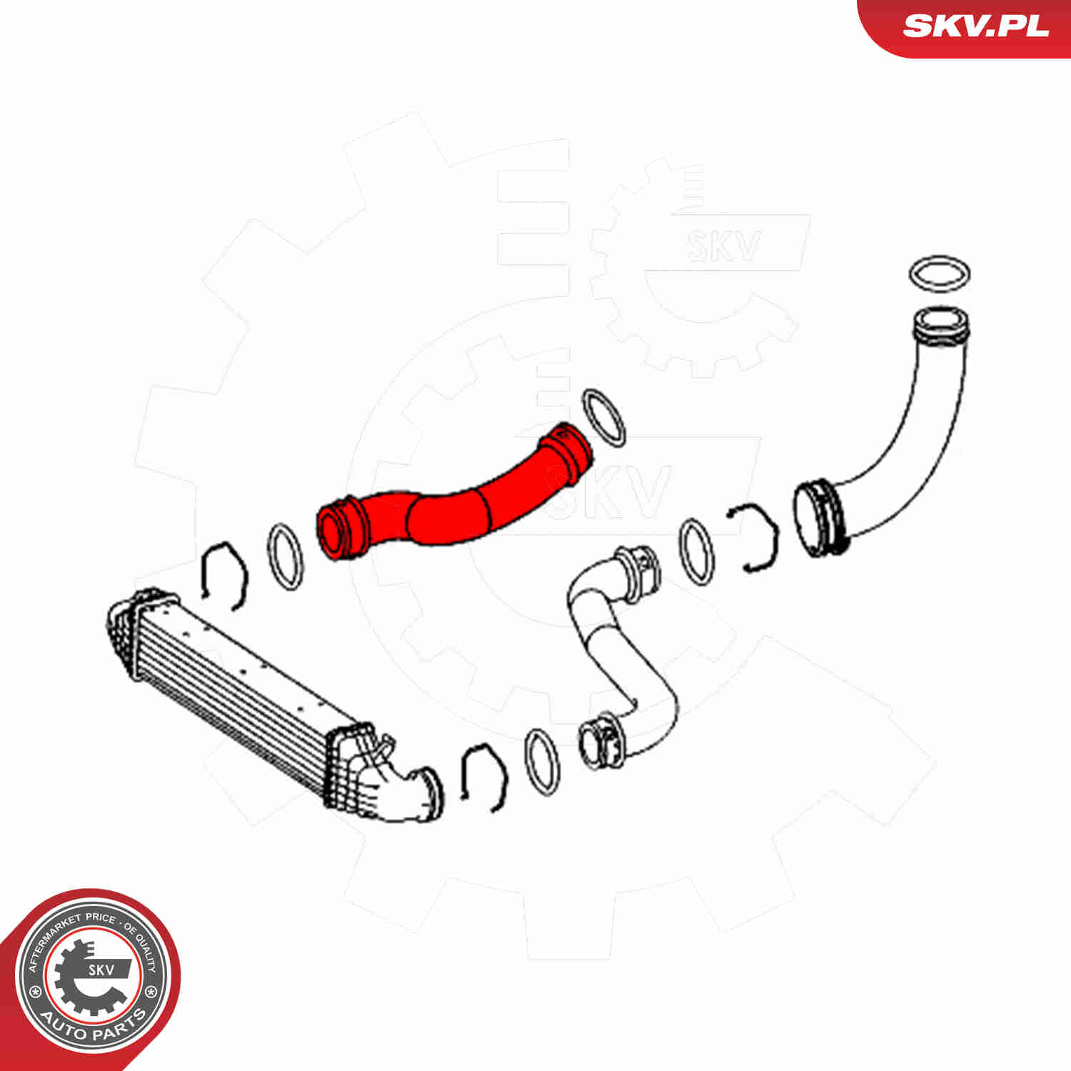 Charger Air Hose - 43SKV421 ESEN SKV