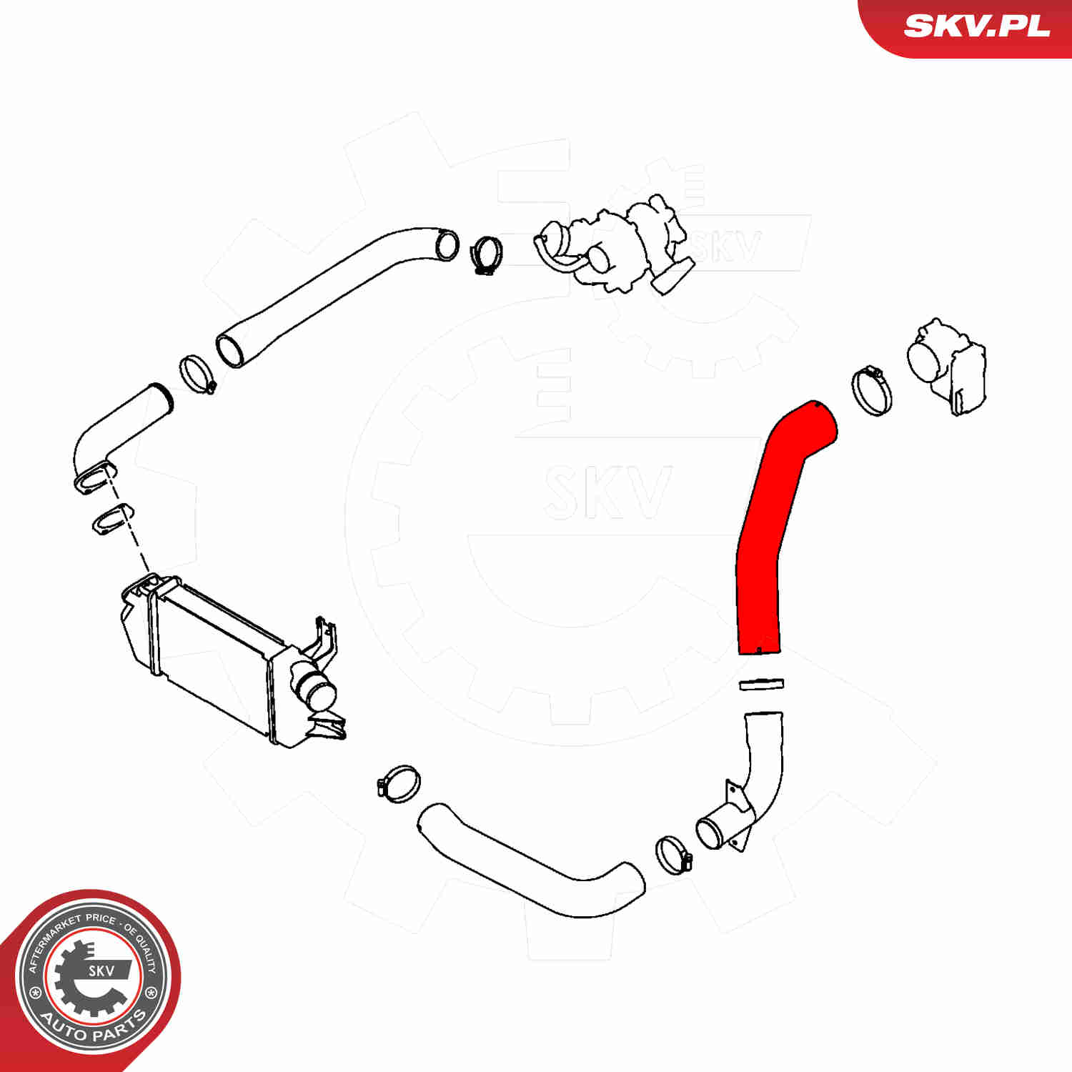 Charger Air Hose - 43SKV456 ESEN SKV