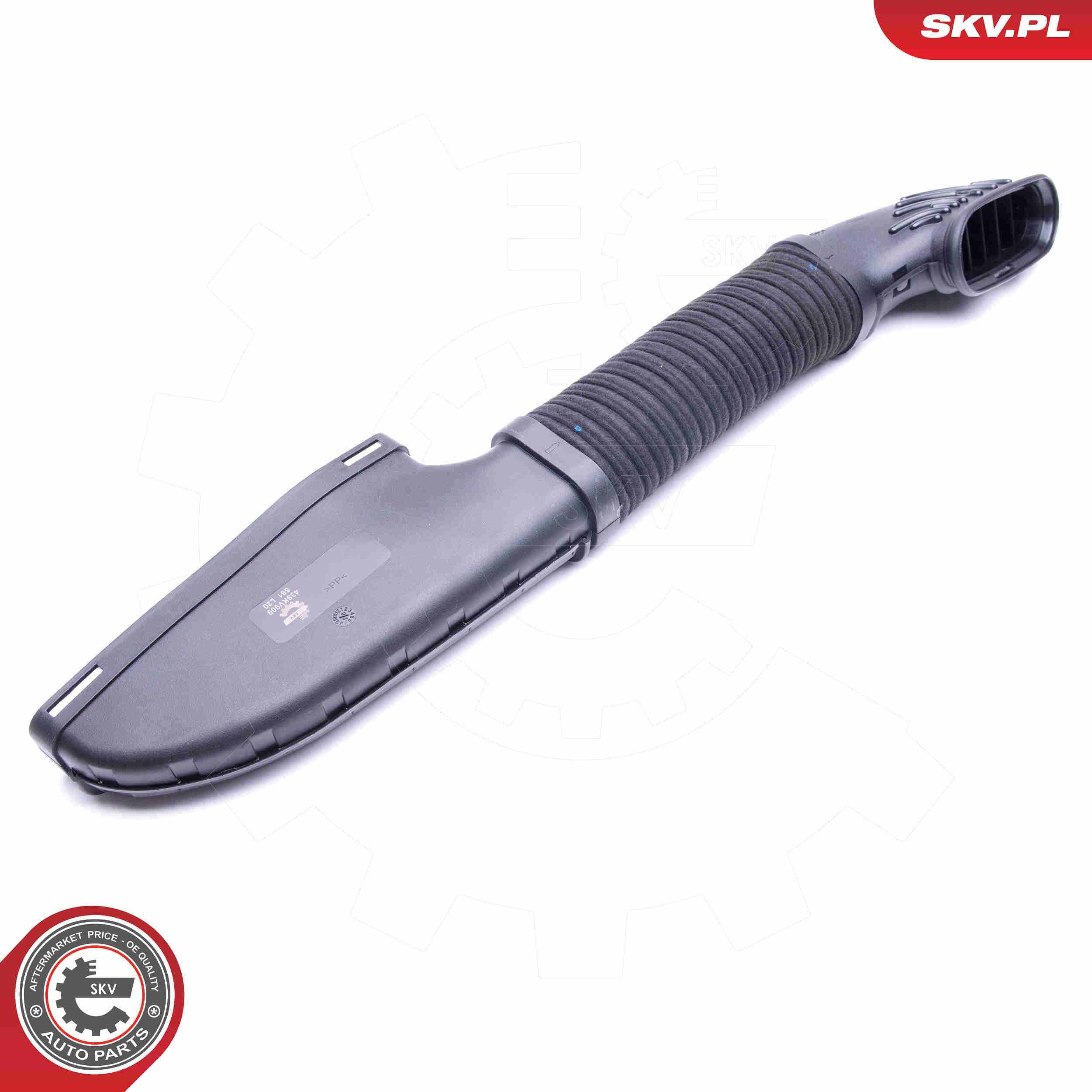 Intake Hose, air filter - 43SKV909 ESEN SKV