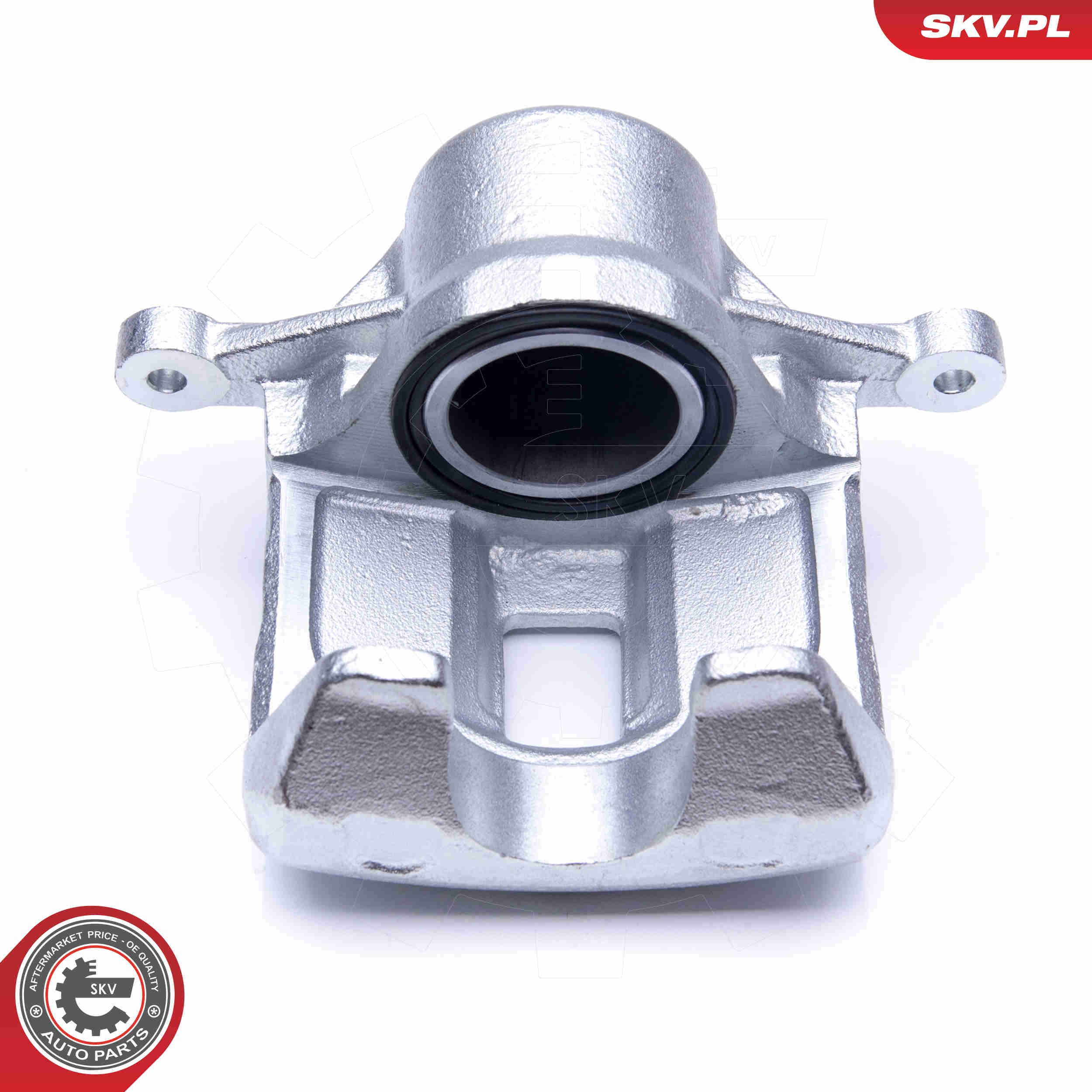 Brake Caliper - 45SKV171 ESEN SKV