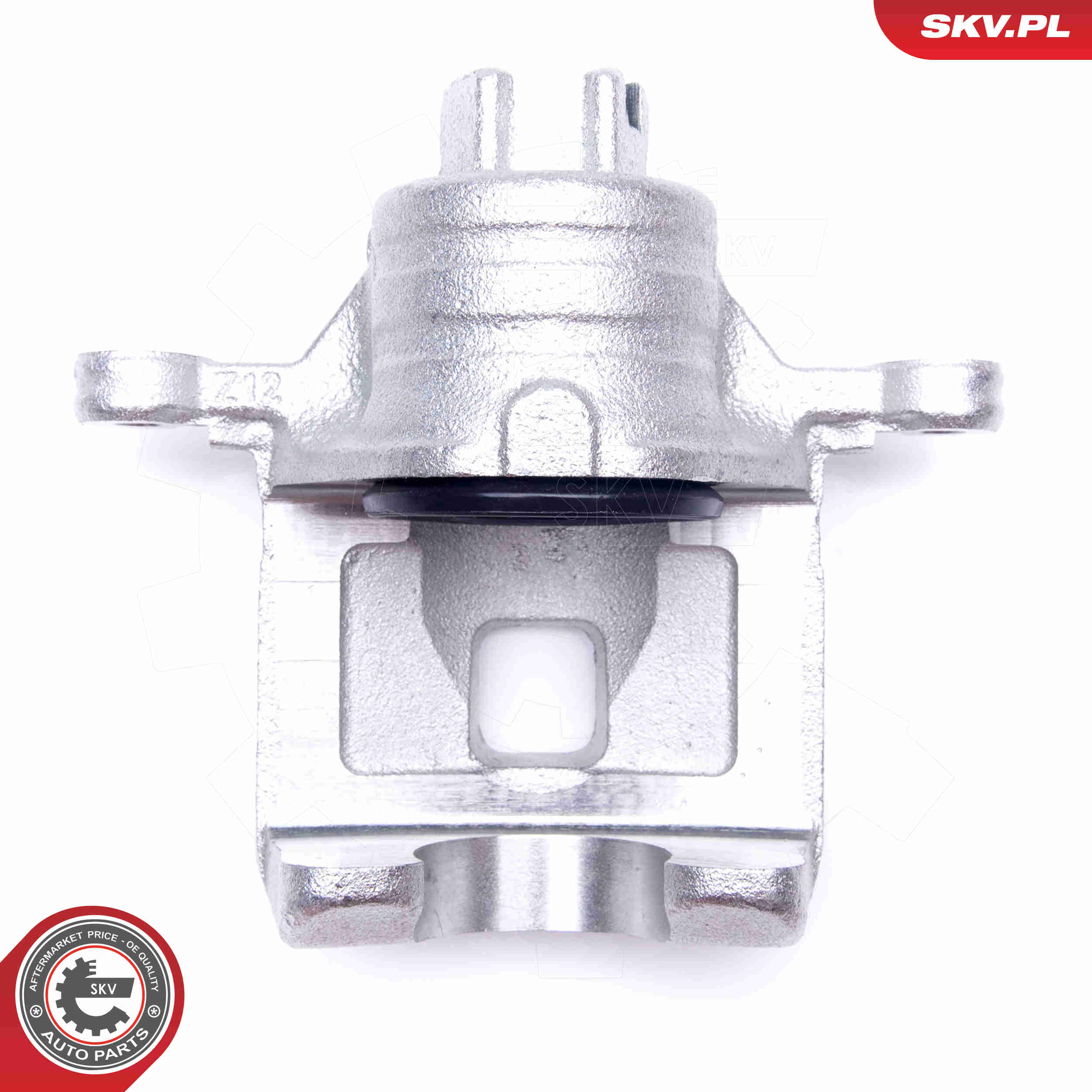 Brake Caliper - 45SKV673 ESEN SKV