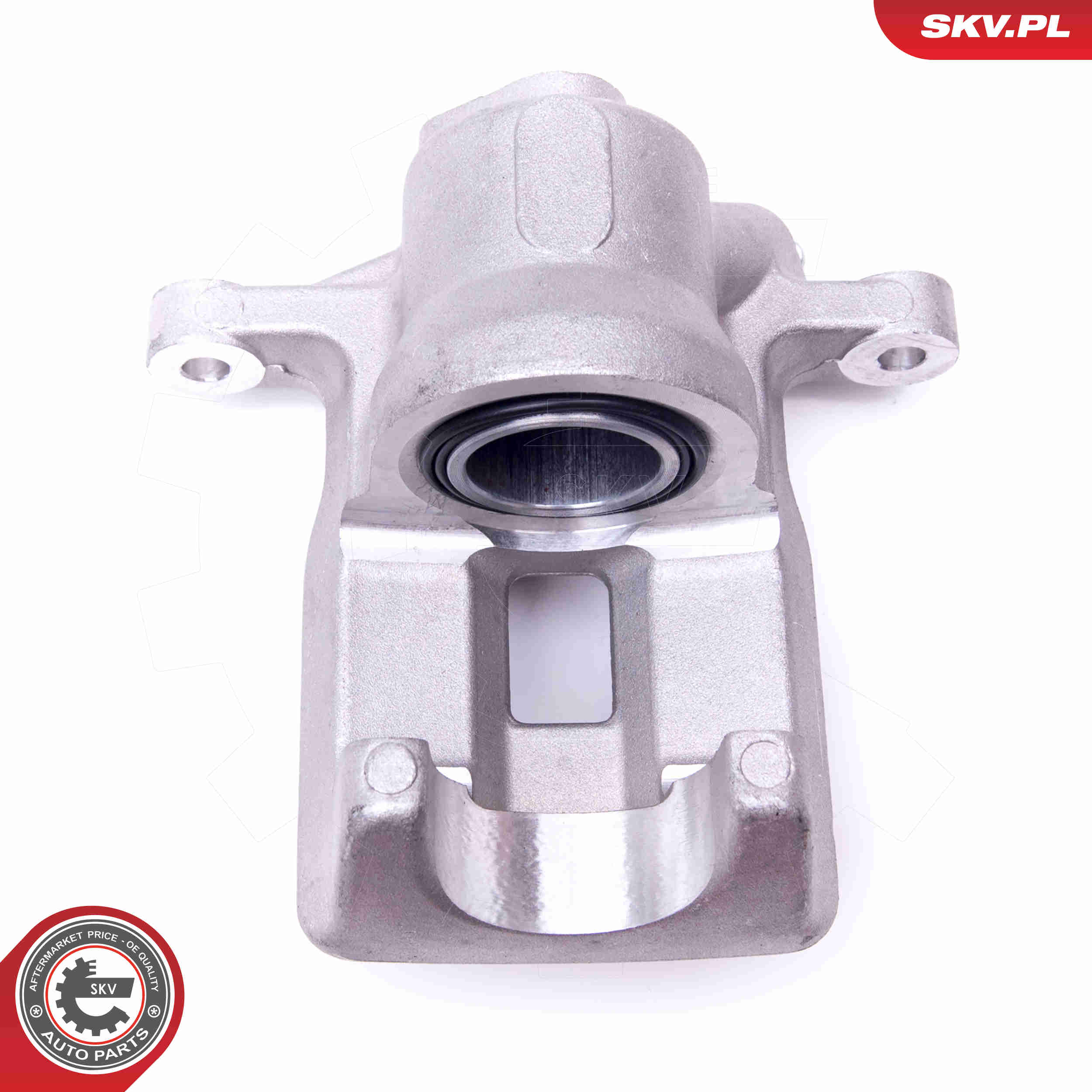 Brake Caliper - 45SKV813 ESEN SKV