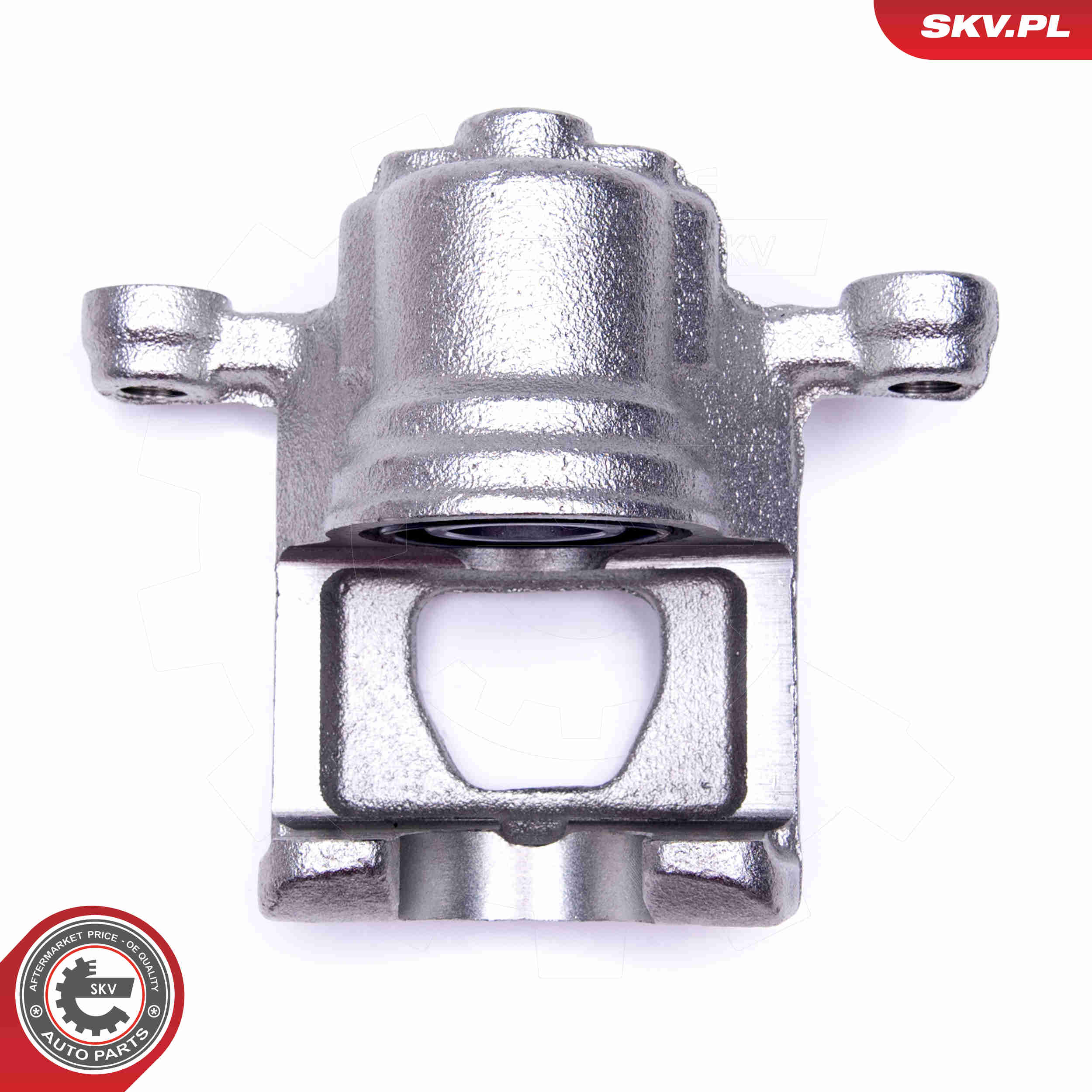 Brake Caliper - 46SKV193 ESEN SKV