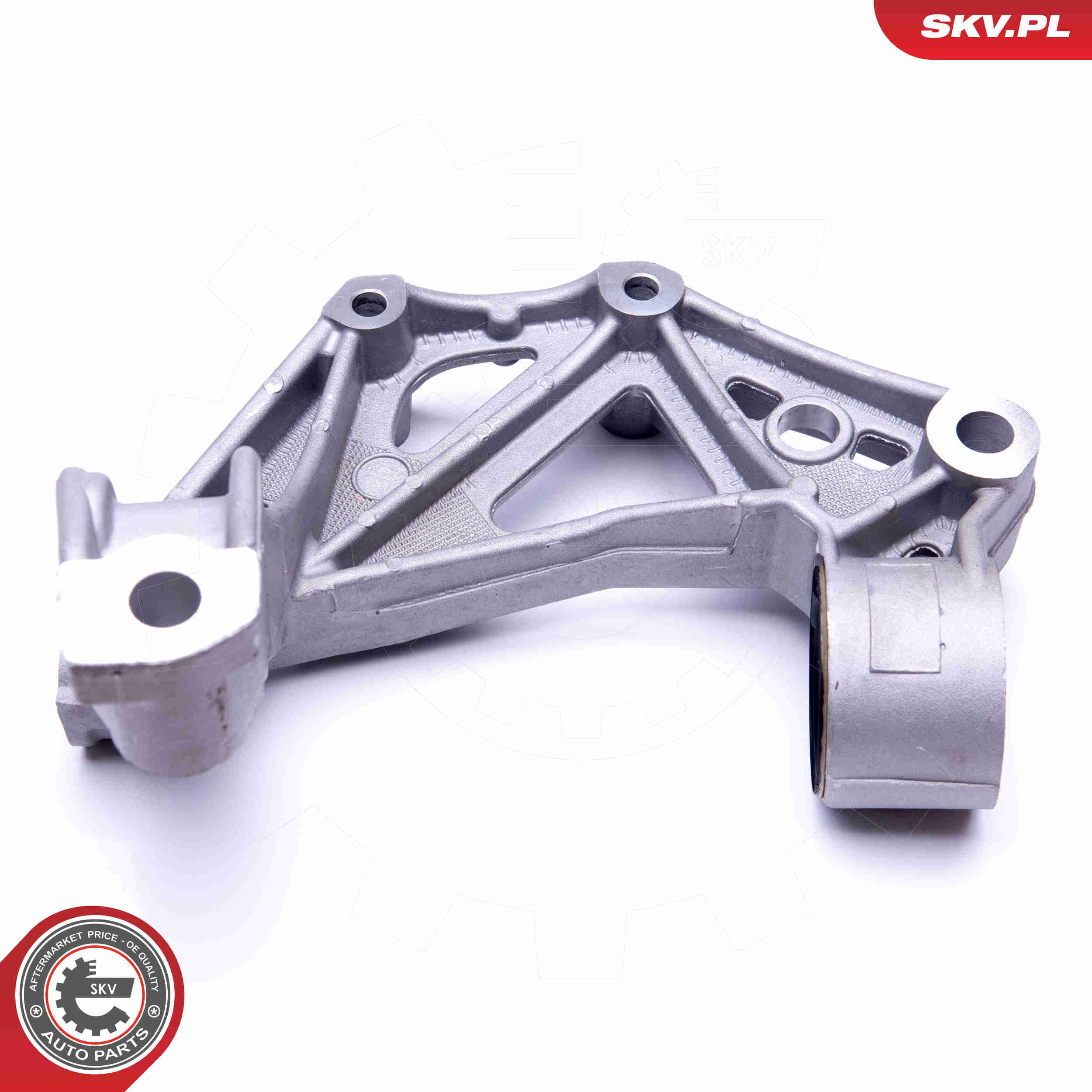 Steering Knuckle, wheel suspension - 47SKV301 ESEN SKV
