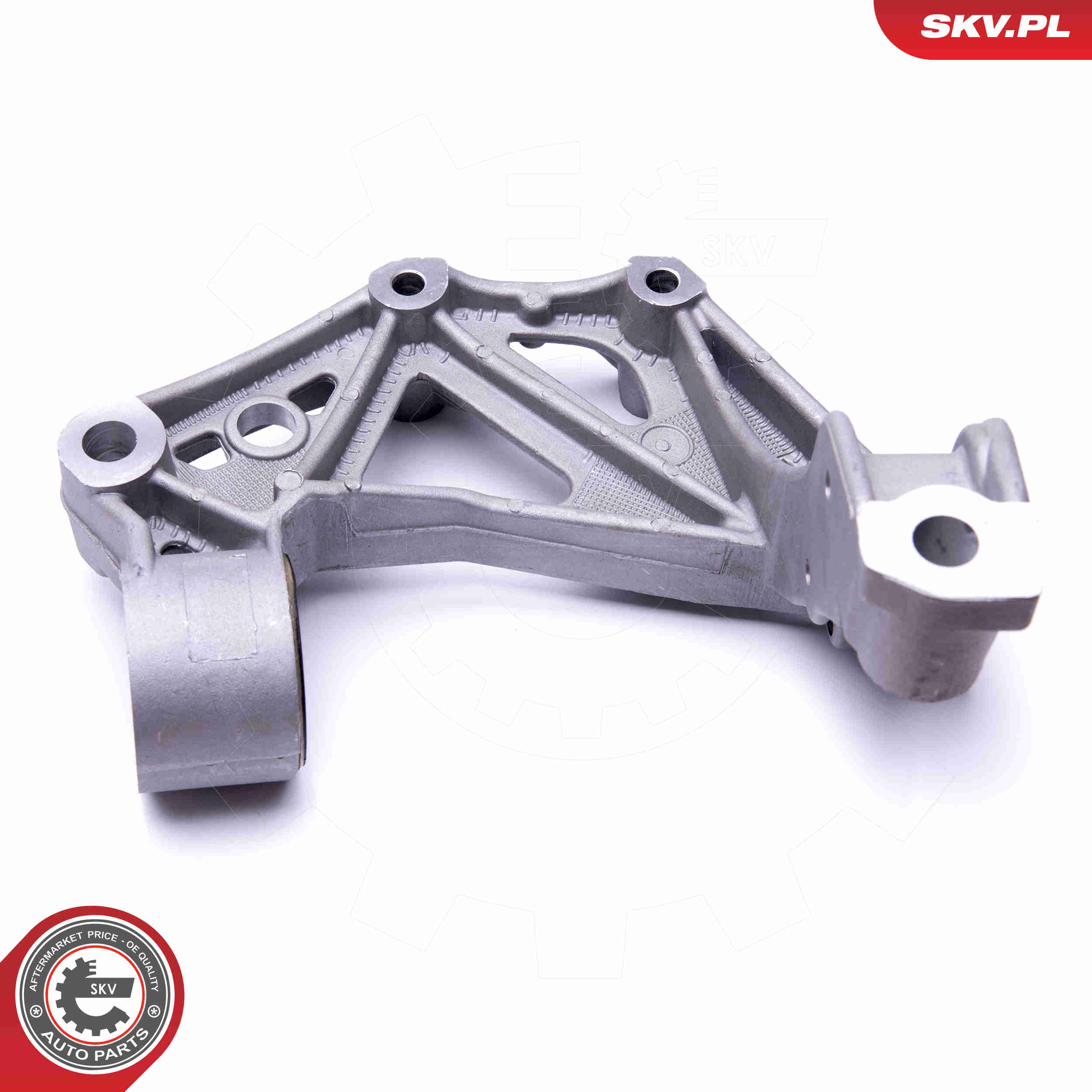 Steering Knuckle, wheel suspension - 47SKV302 ESEN SKV