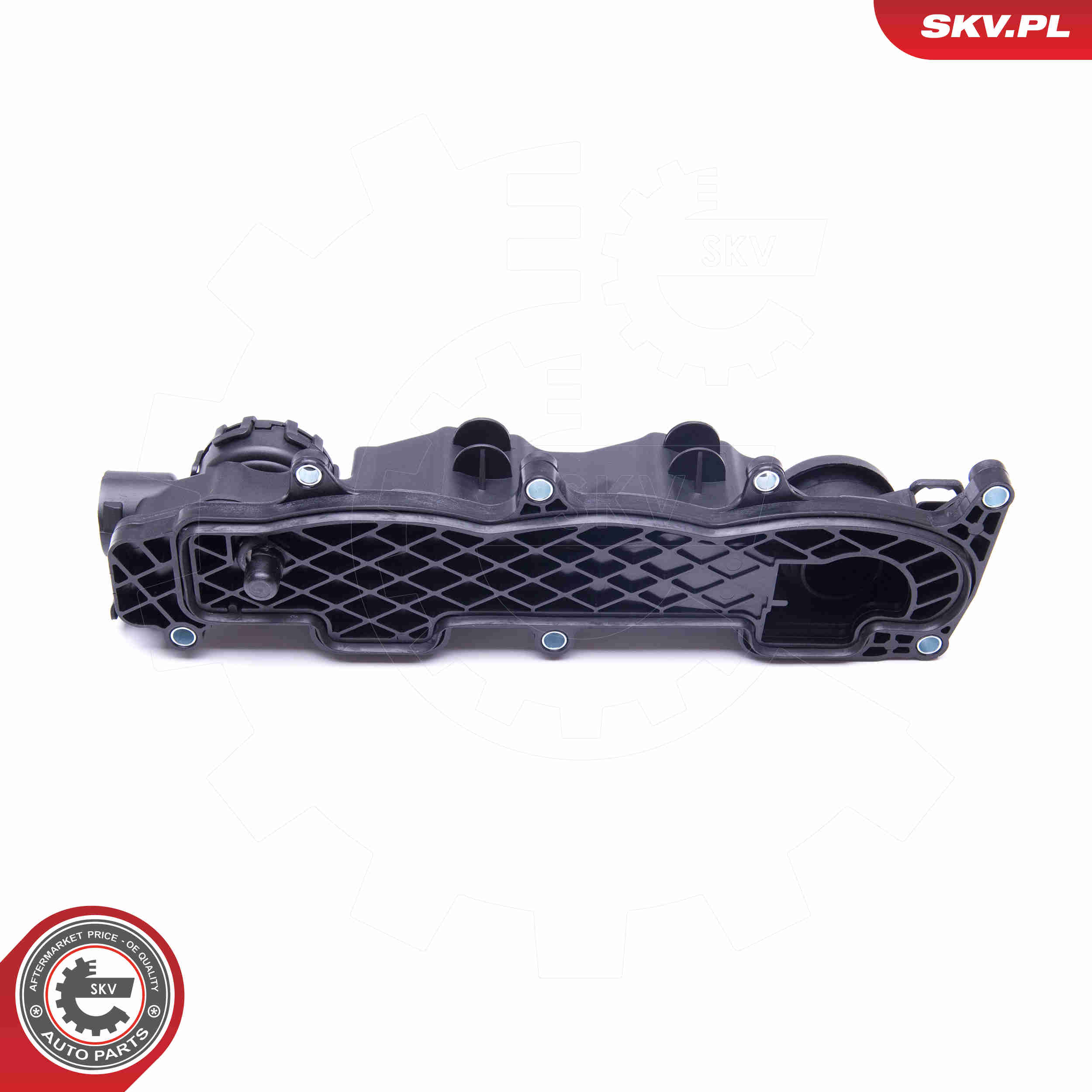 Cylinder Head Cover - 48SKV028 ESEN SKV
