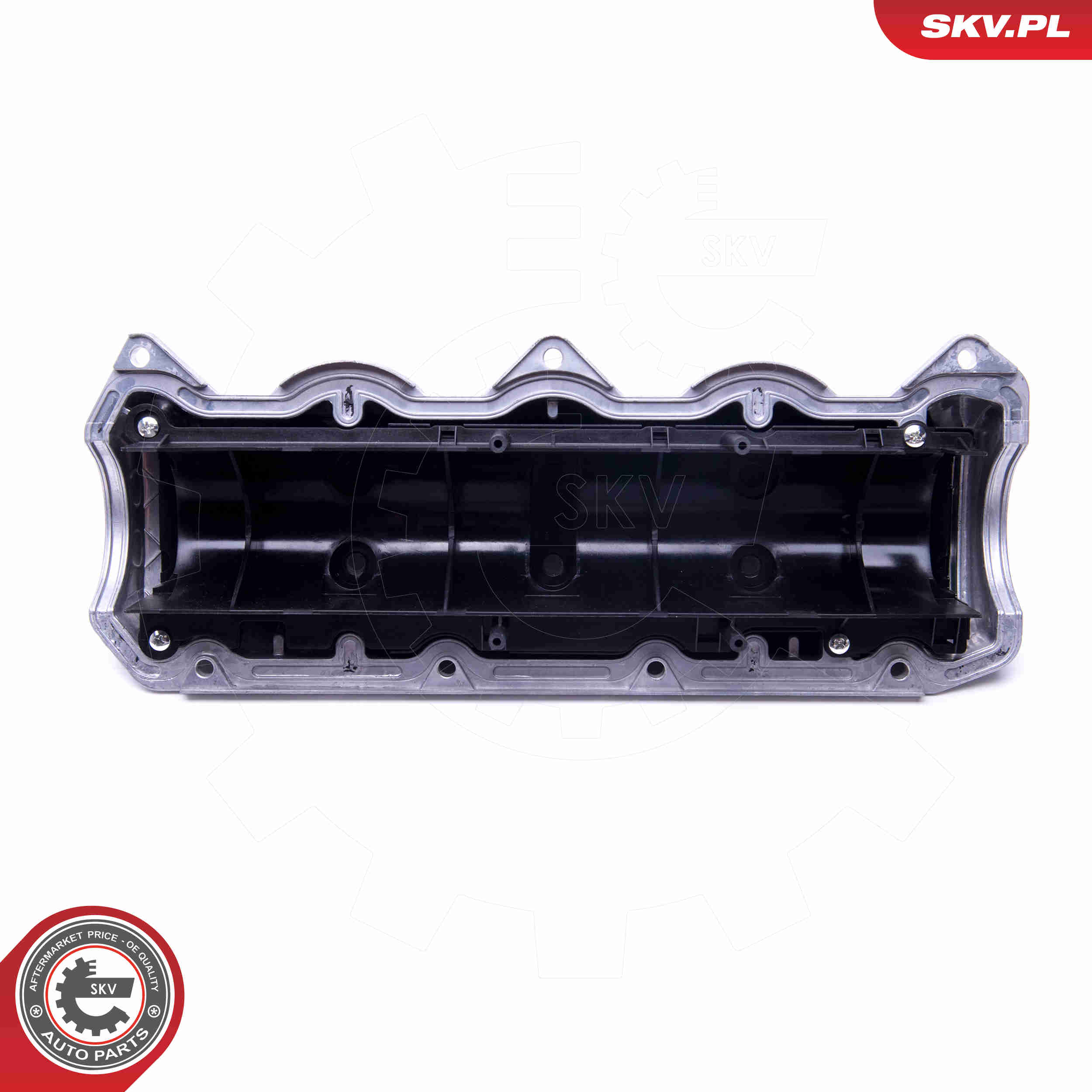 Cylinder Head Cover - 48SKV055 ESEN SKV