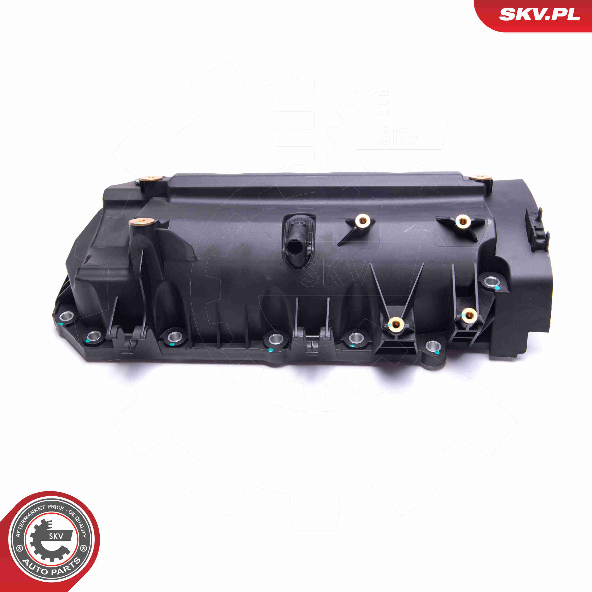 Cylinder Head Cover - 48SKV073 ESEN SKV