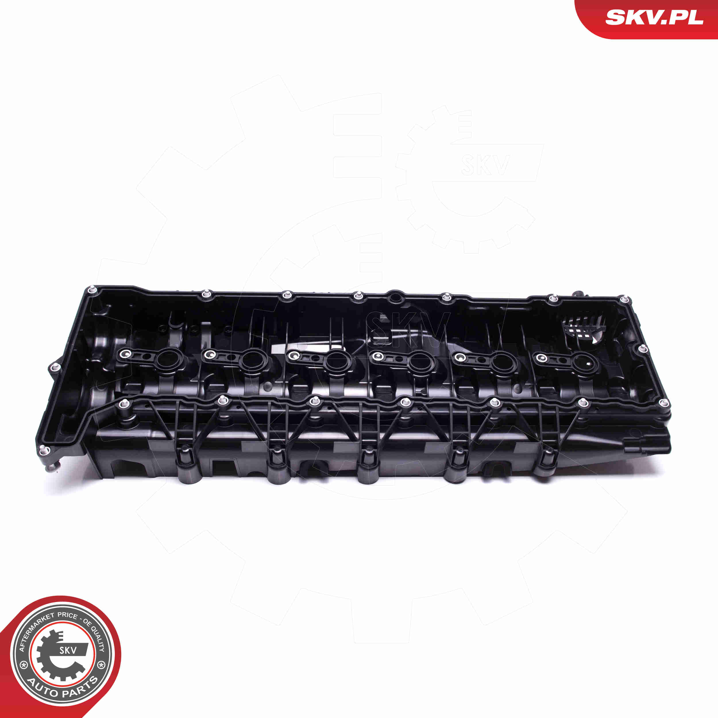 Cylinder Head Cover - 48SKV075 ESEN SKV