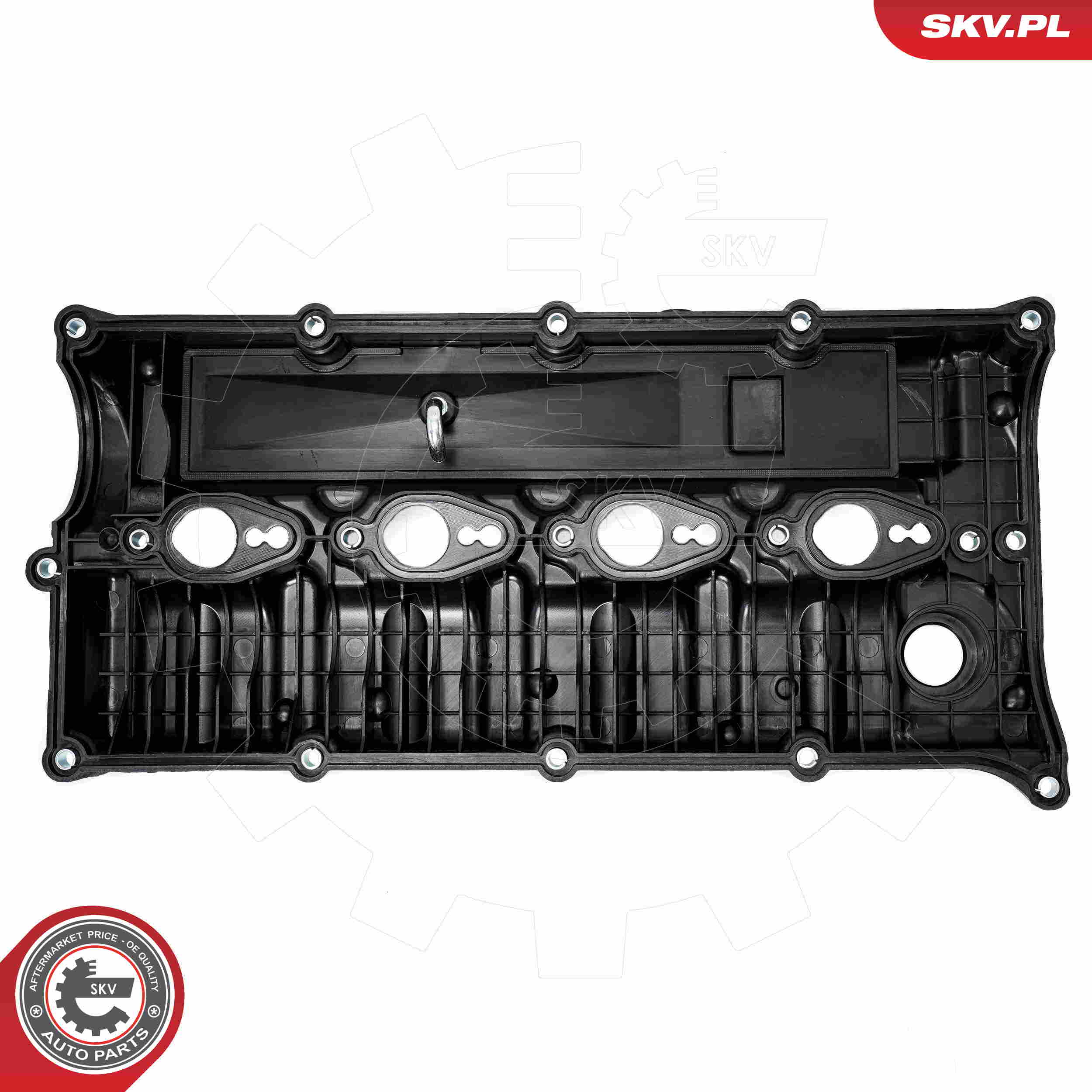 Cylinder Head Cover - 48SKV100 ESEN SKV