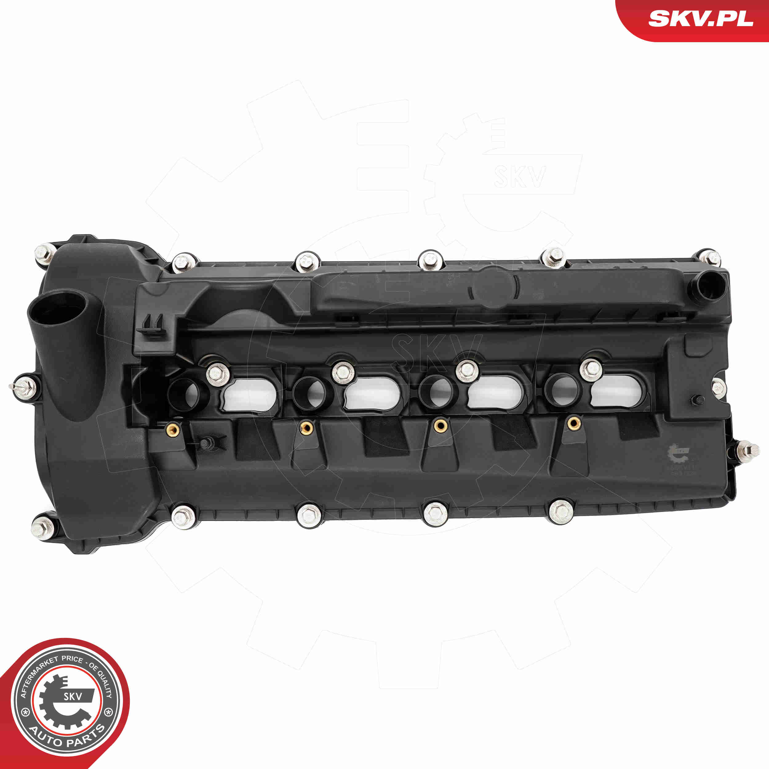 Cylinder Head Cover - 48SKV110 ESEN SKV