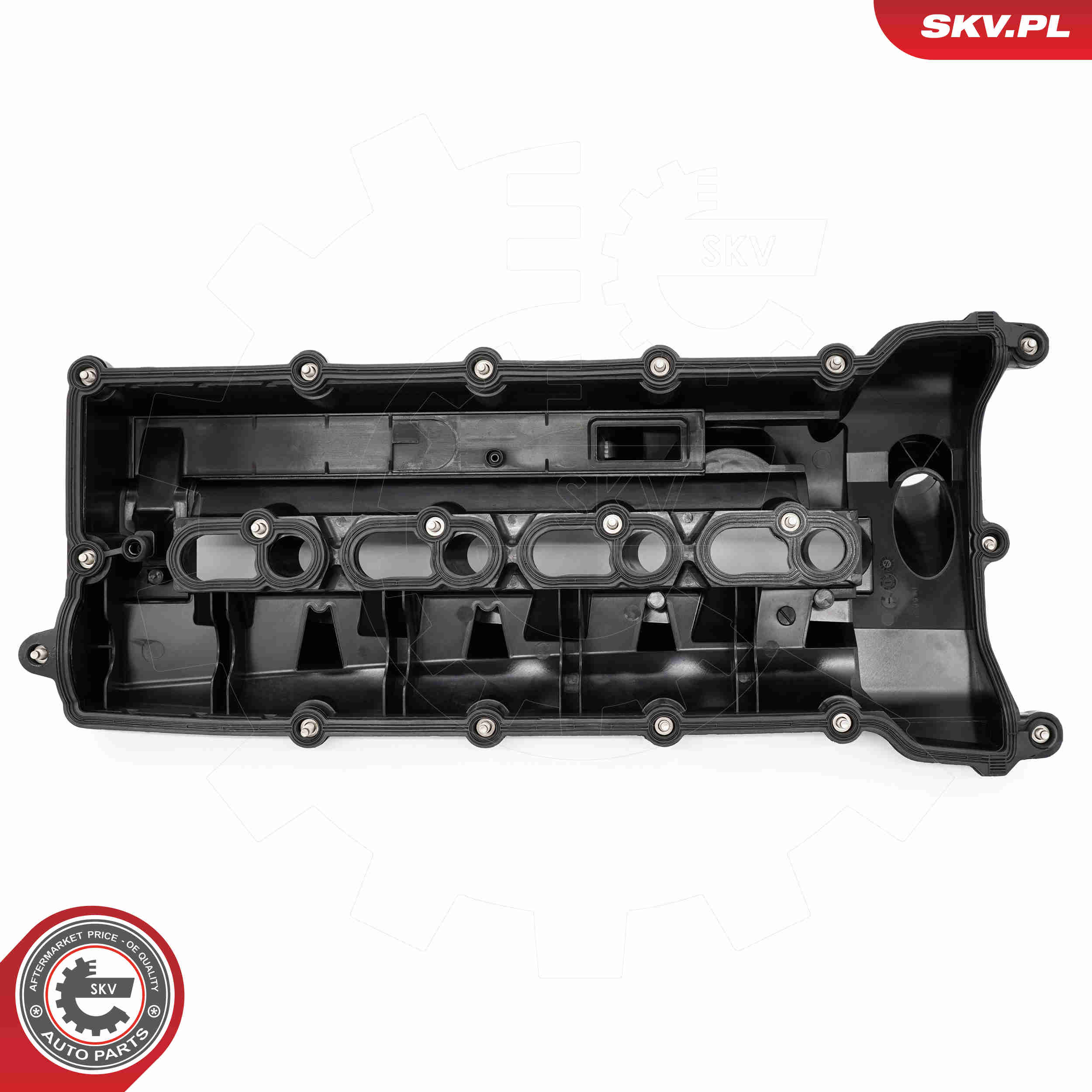 Cylinder Head Cover - 48SKV110 ESEN SKV