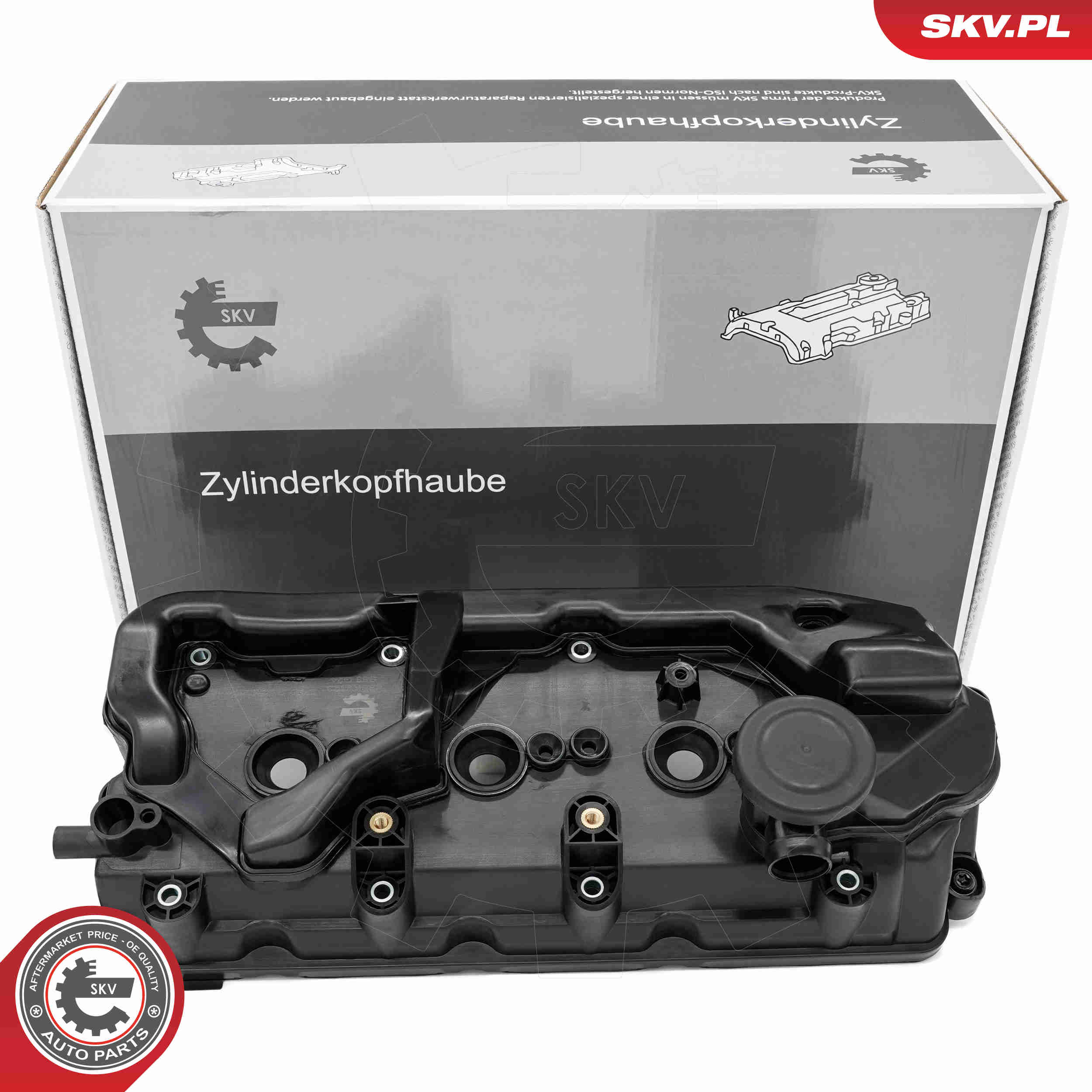 Cylinder Head Cover - 48SKV123 ESEN SKV